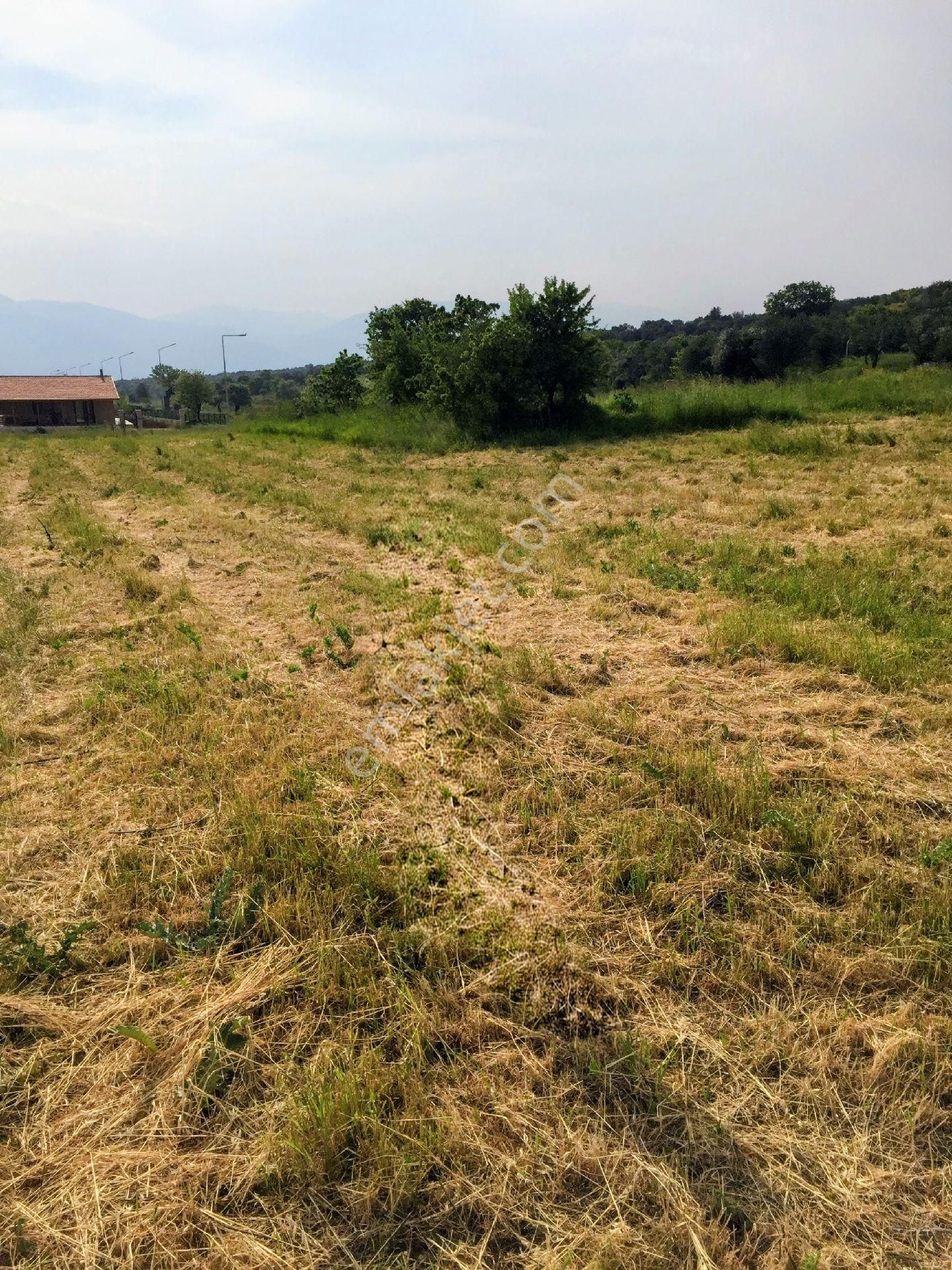 İzmir İmarlı Arsa 1955m² İmar Belgesi Mevcutdur. - Görsel 3