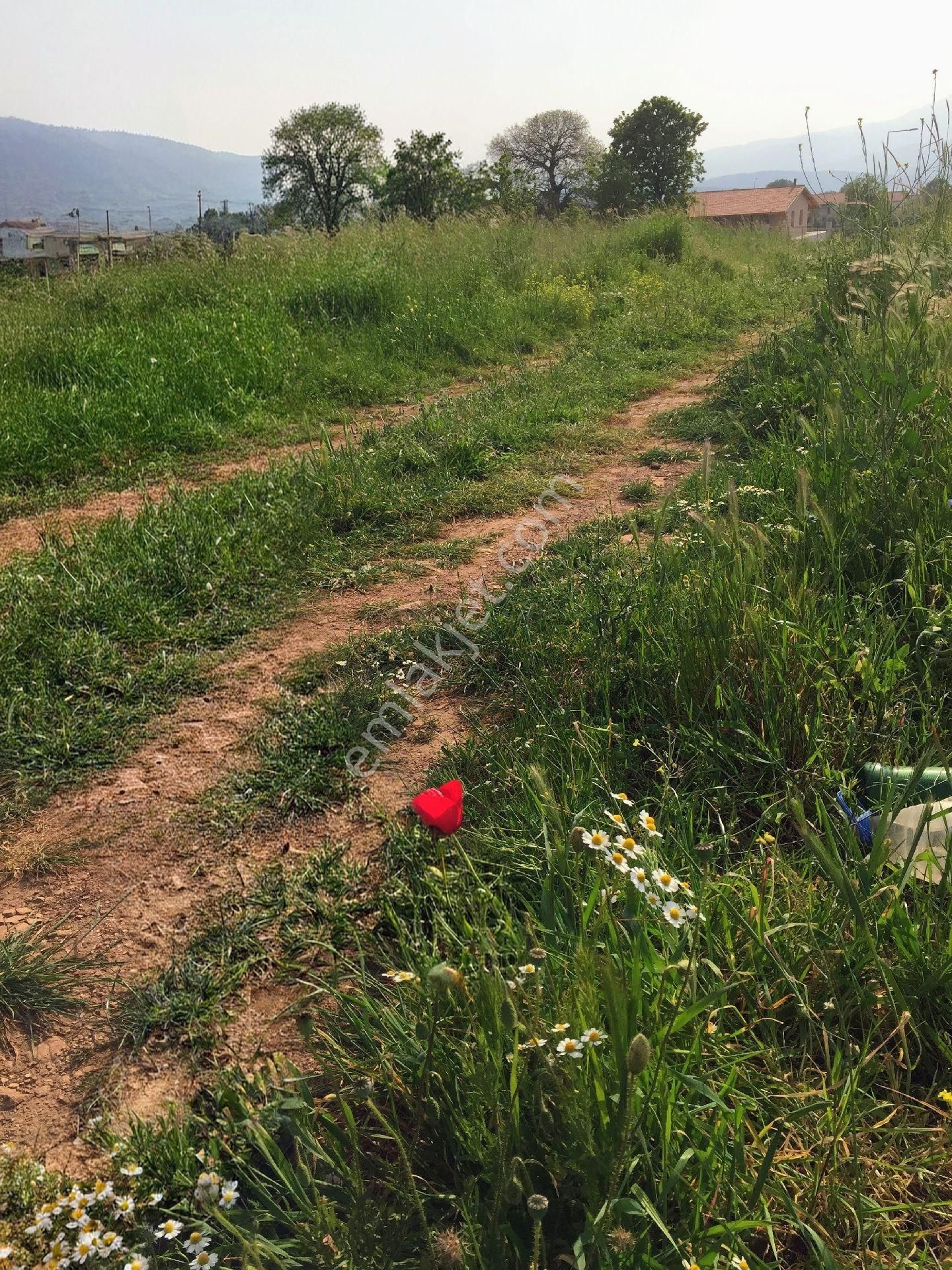 İzmir İmarlı Arsa 1955m² İmar Belgesi Mevcutdur. - Görsel 6