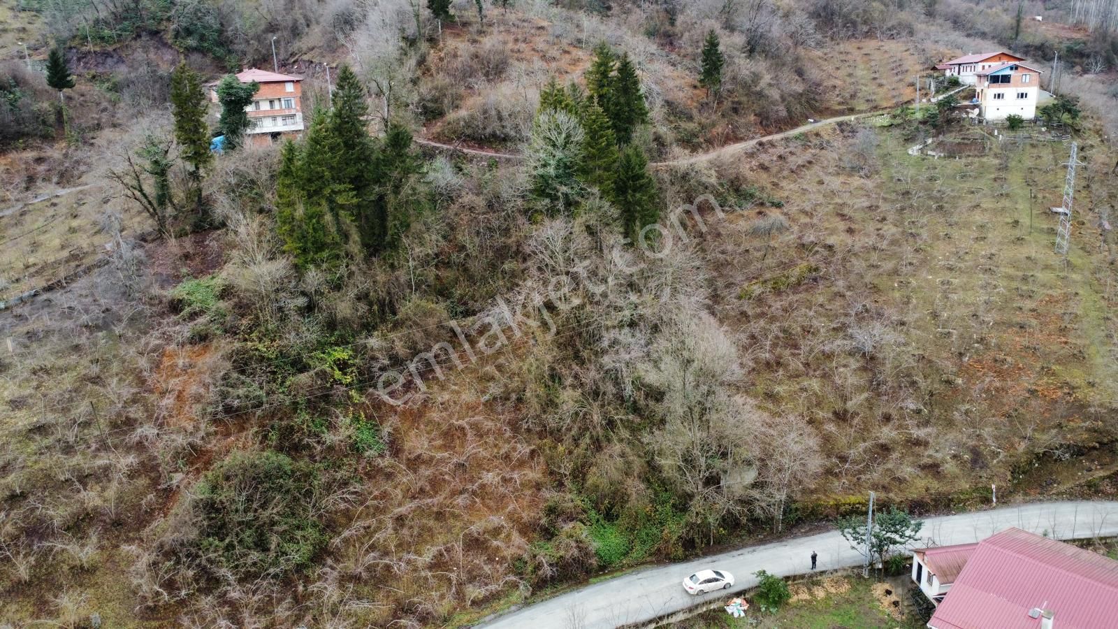 Trabzon Araklıda Satılık Arazi - Görsel 16