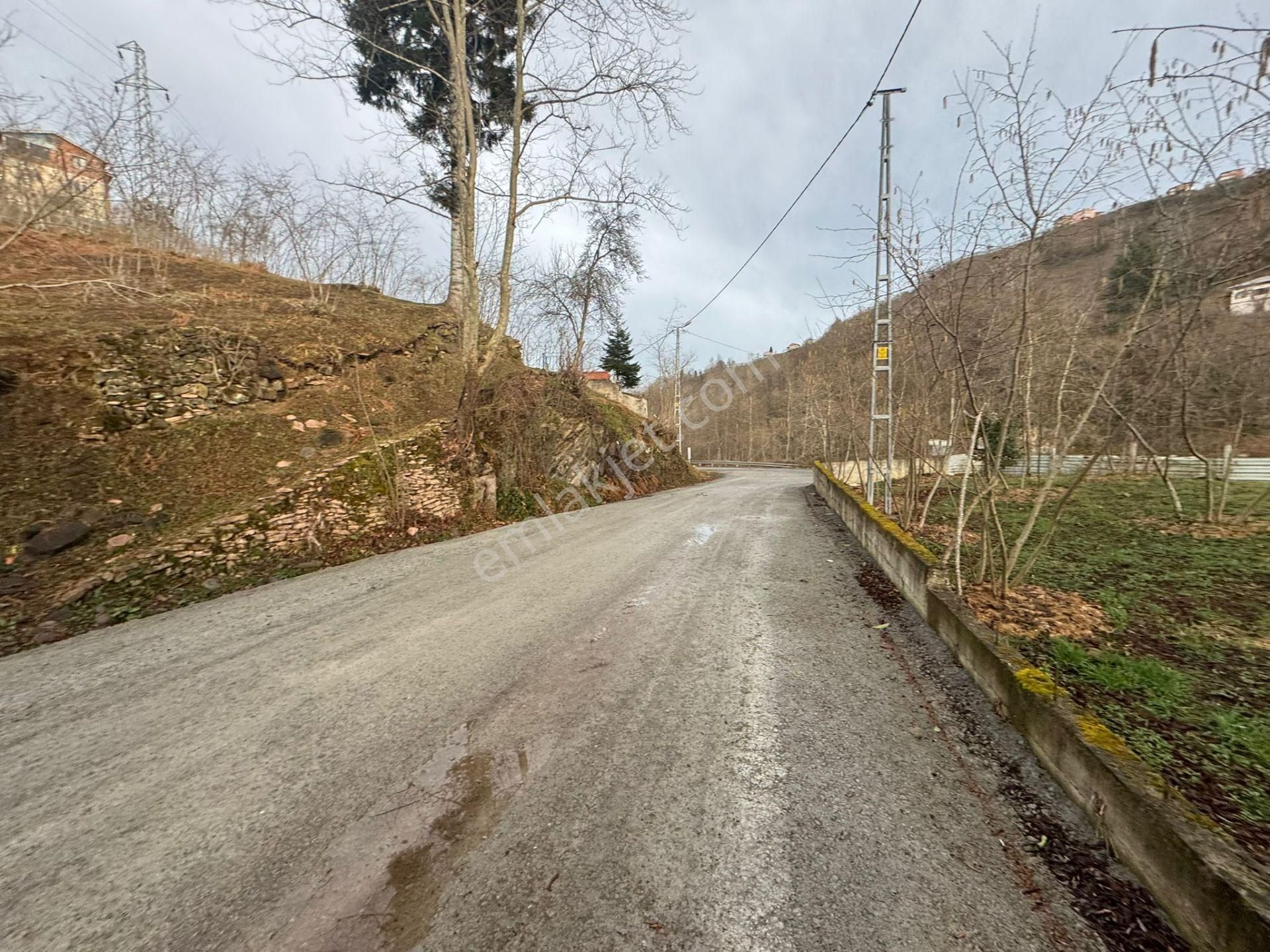 Trabzon Araklıda Satılık Arazi - Görsel 6