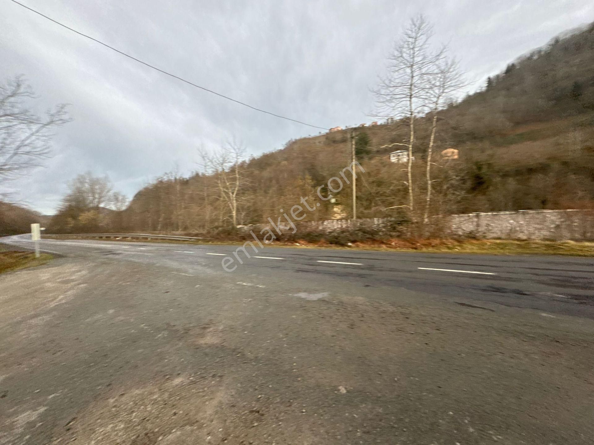 Trabzon Araklıda Satılık Arazi - Görsel 21
