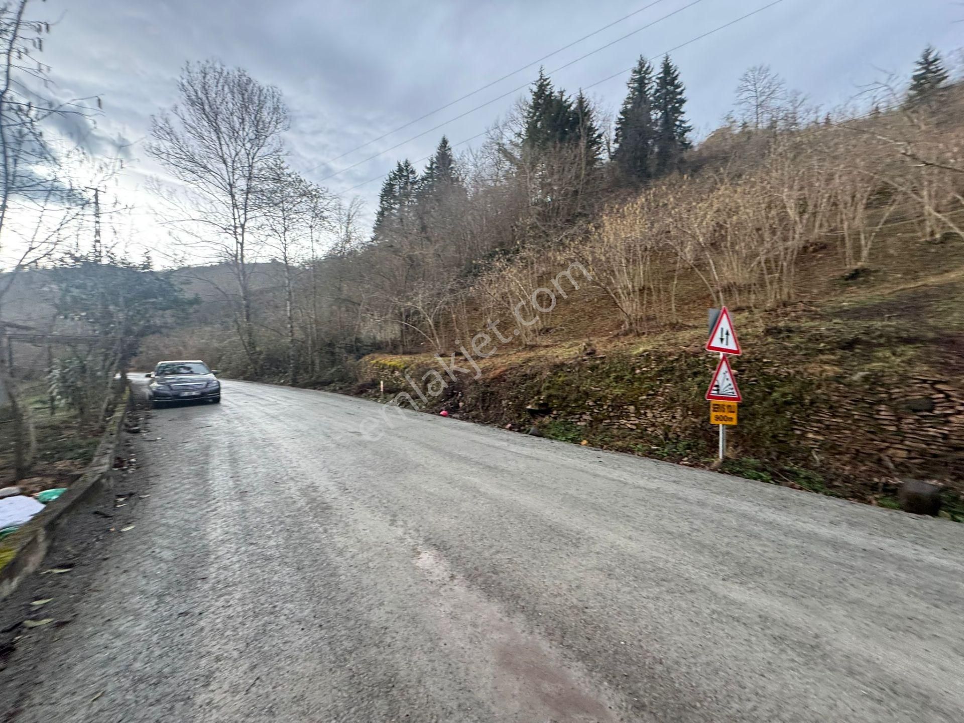 Trabzon Araklıda Satılık Arazi - Görsel 8