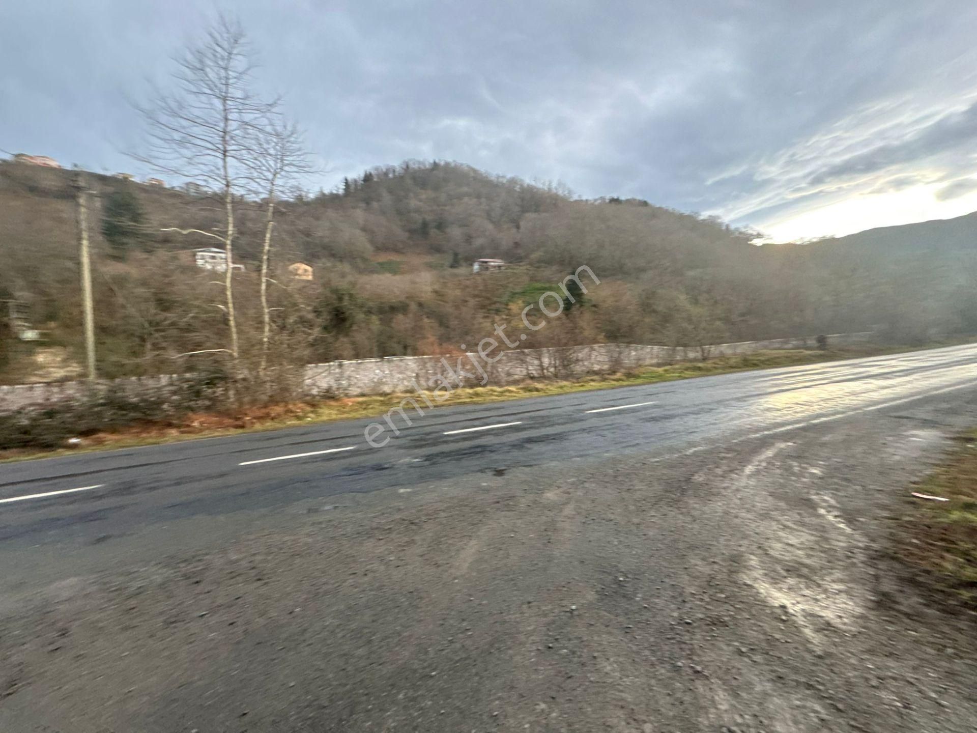 Trabzon Araklıda Satılık Arazi - Görsel 24