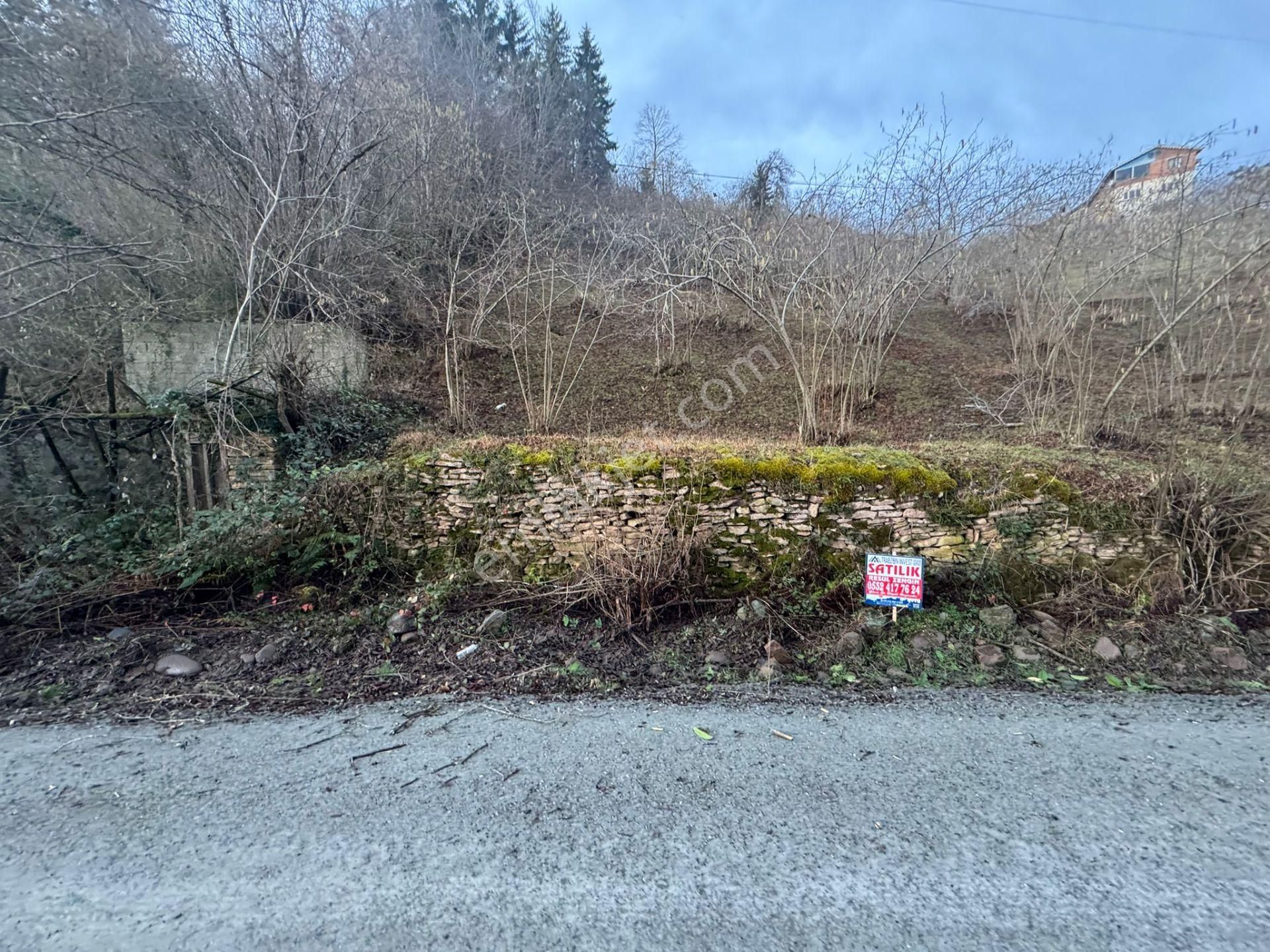 Trabzon Araklıda Satılık Arazi - Görsel 3