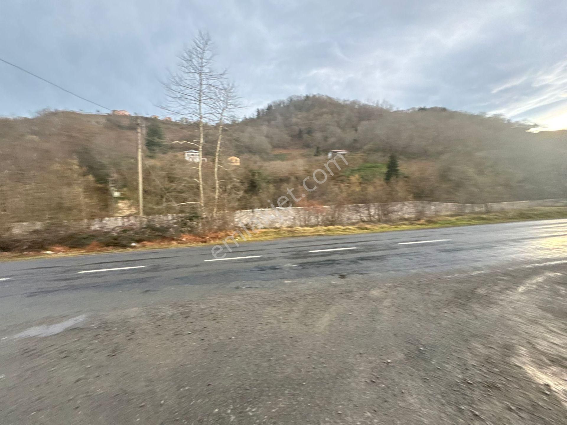 Trabzon Araklıda Satılık Arazi - Görsel 26