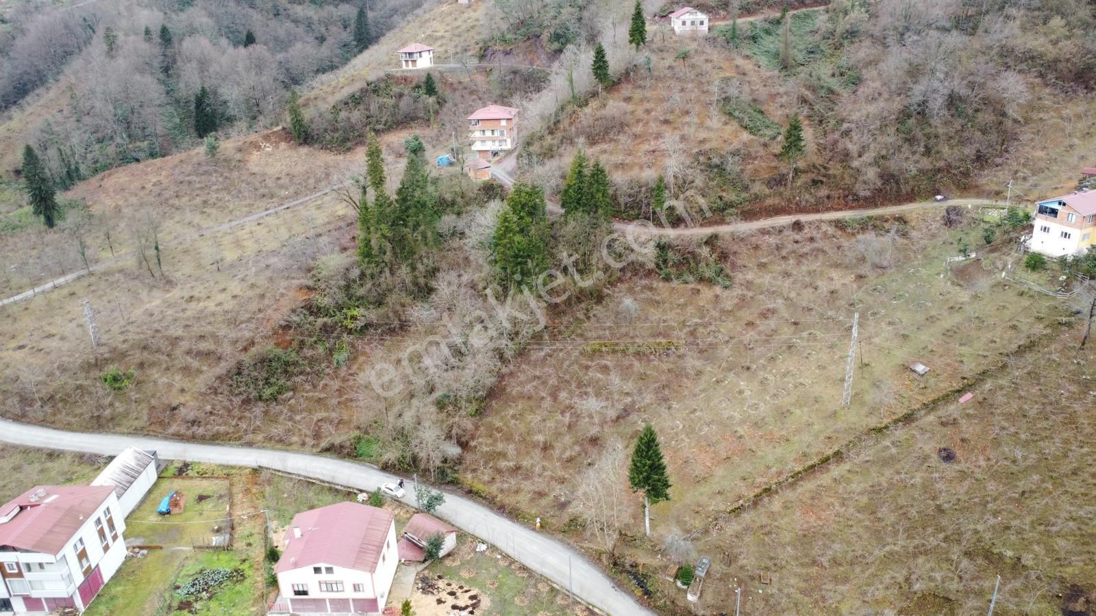 Trabzon Araklıda Satılık Arazi - Görsel 31