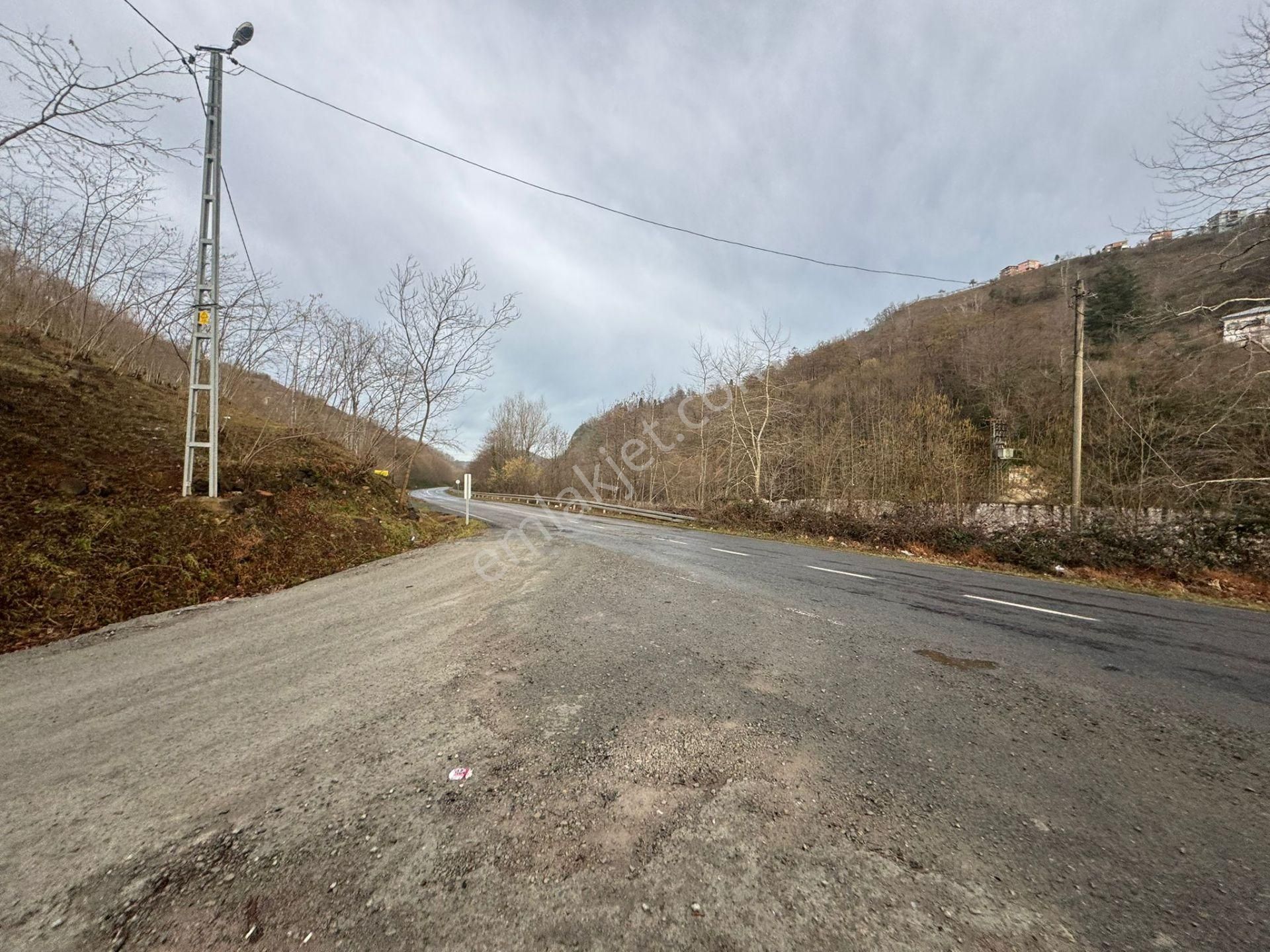 Trabzon Araklıda Satılık Arazi - Görsel 4