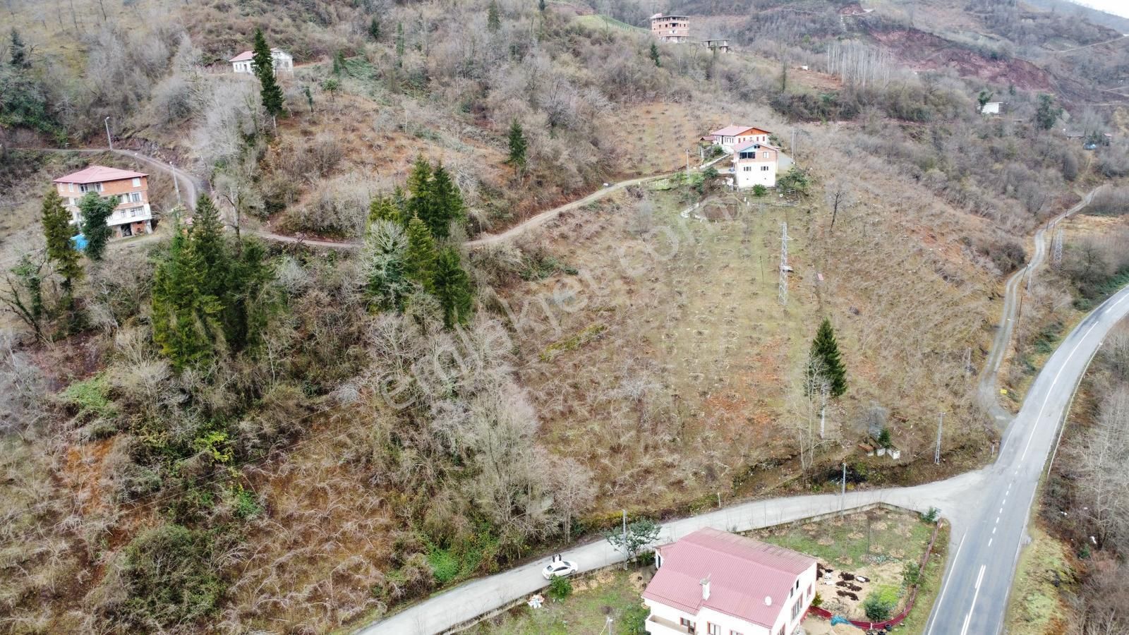 Trabzon Araklıda Satılık Arazi