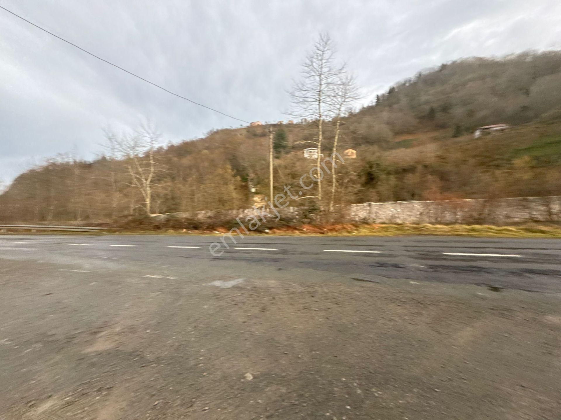 Trabzon Araklıda Satılık Arazi - Görsel 28