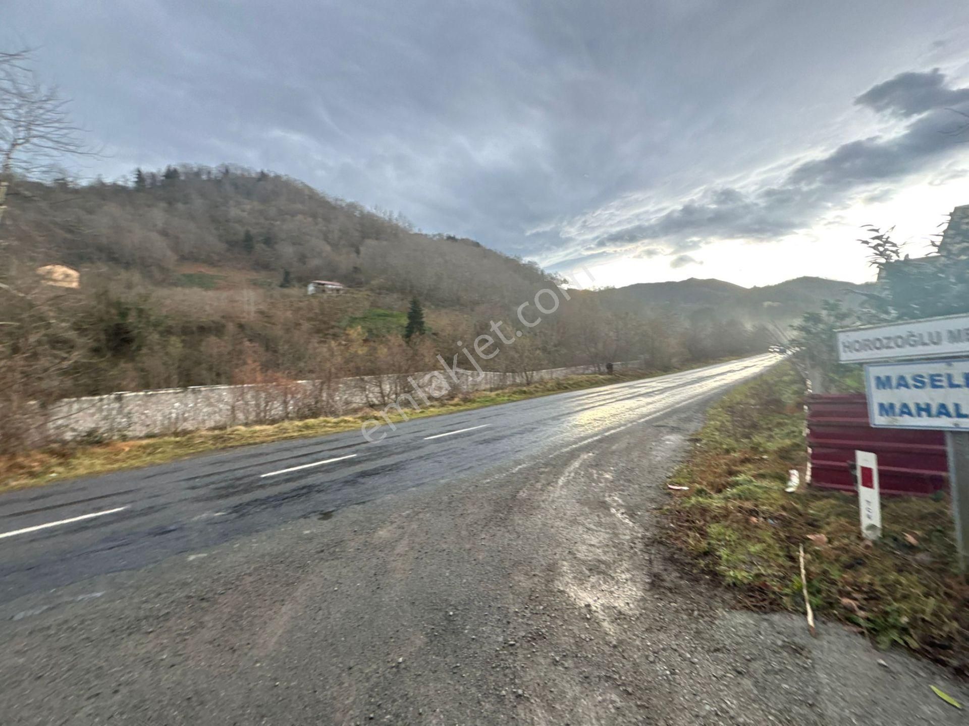 Trabzon Araklıda Satılık Arazi - Görsel 22