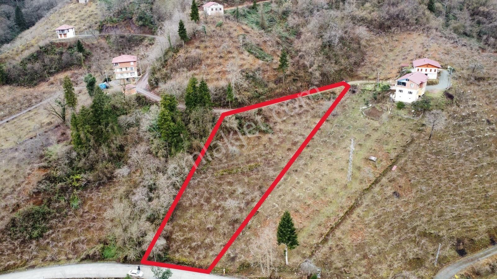 Trabzon Araklıda Satılık Arazi - Görsel 2