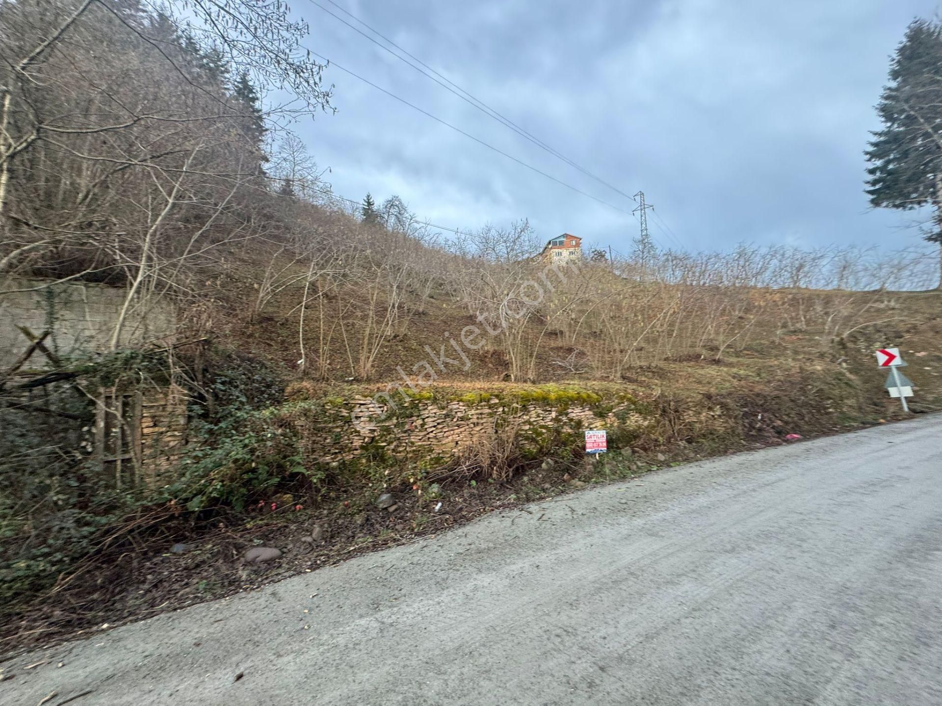 Trabzon Araklıda Satılık Arazi - Görsel 17