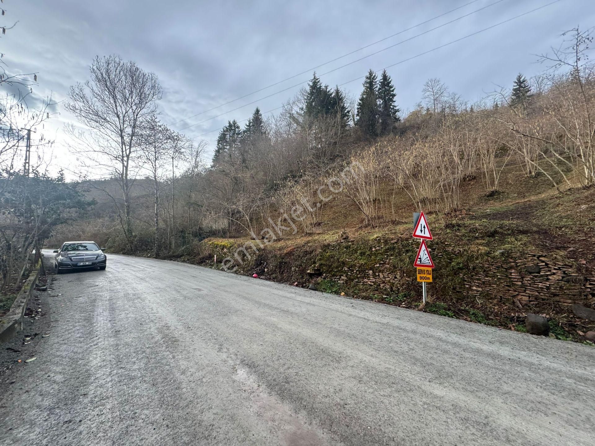 Trabzon Araklıda Satılık Arazi - Görsel 25