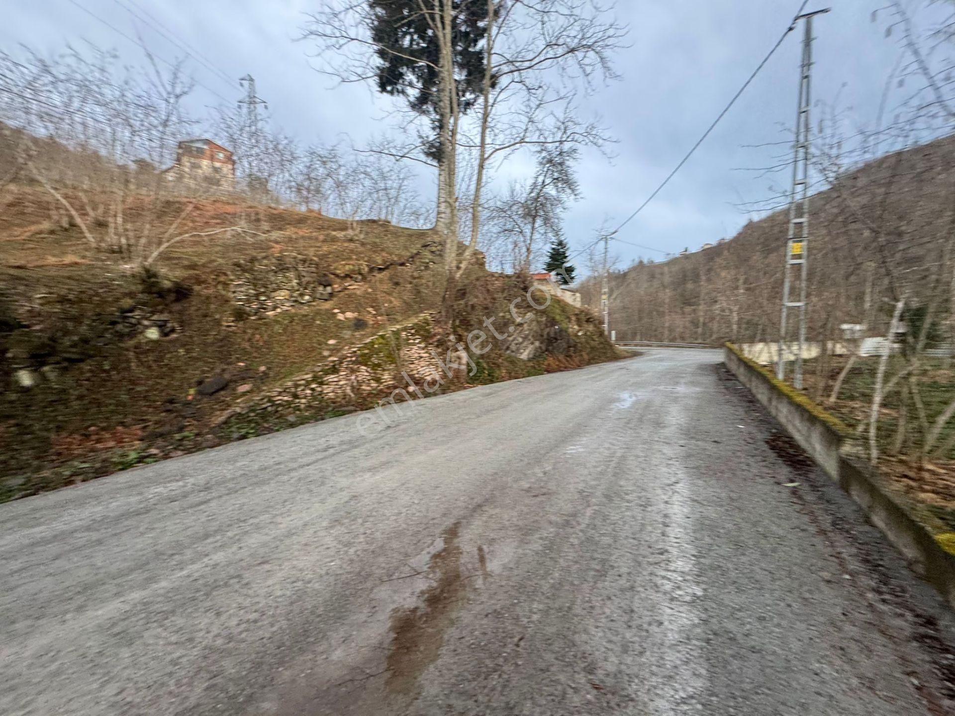 Trabzon Araklıda Satılık Arazi - Görsel 29