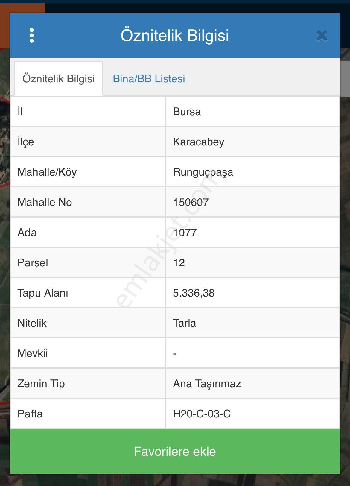 Karacabey Runguçpaşa Fırsat Tarla - Görsel 3