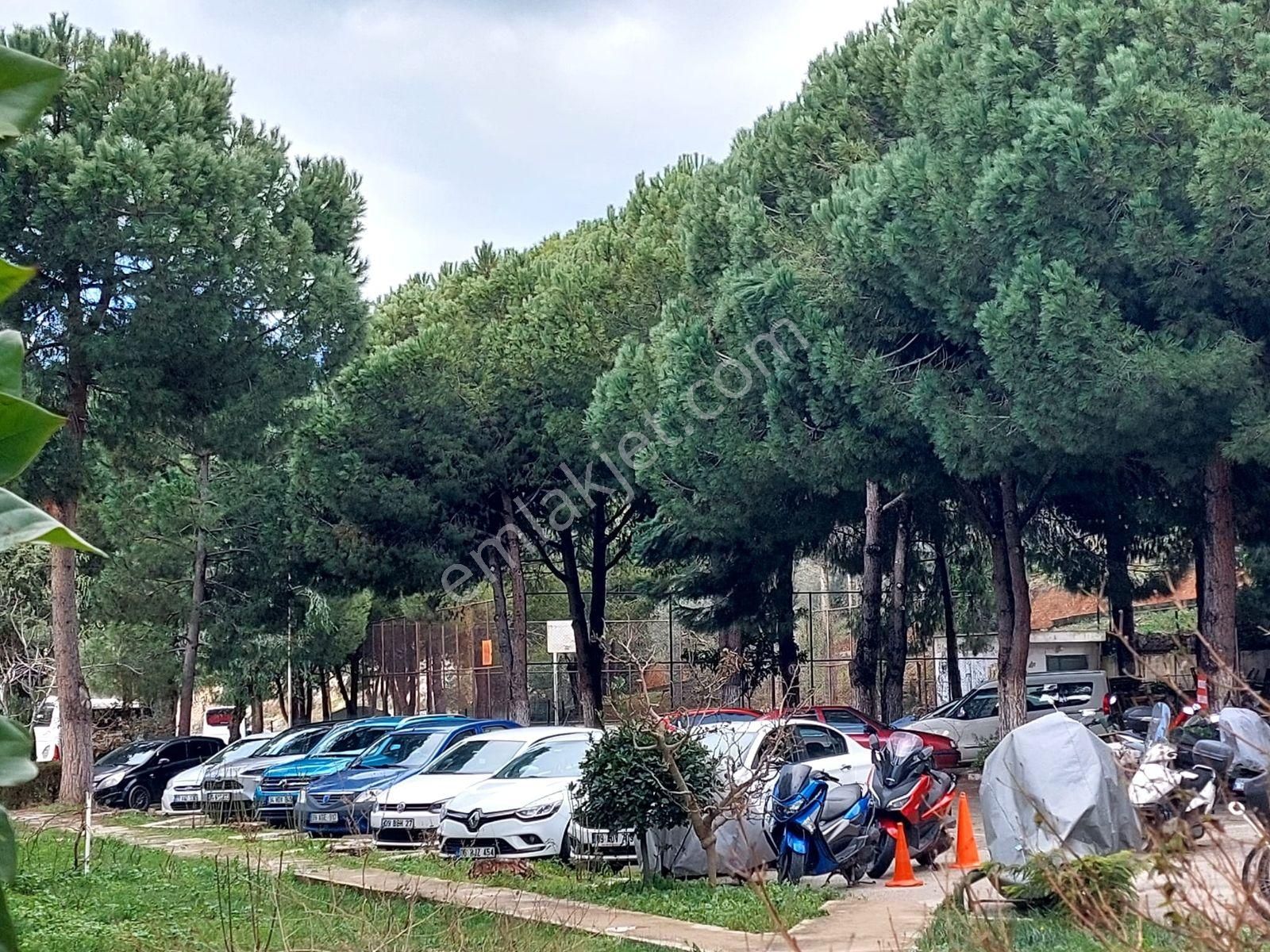 Doğalgazlı - Kapalı Mutfak -merkeze Yakın Geniş 3+1 Daire - Görsel 5