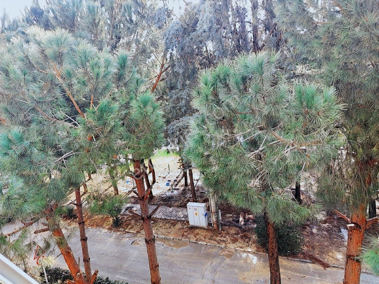 Doğalgazlı - Kapalı Mutfak -merkeze Yakın Geniş 3+1 Daire - Görsel 4