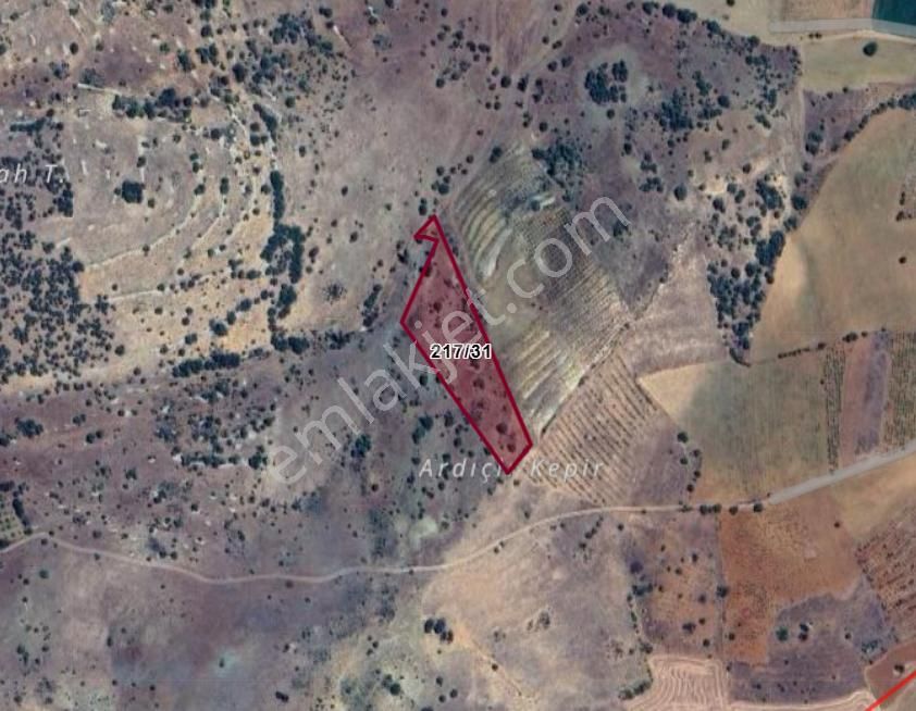 Konya Güneysınır Ağras Köyünde 5.832 M² Bağ Satılıktır