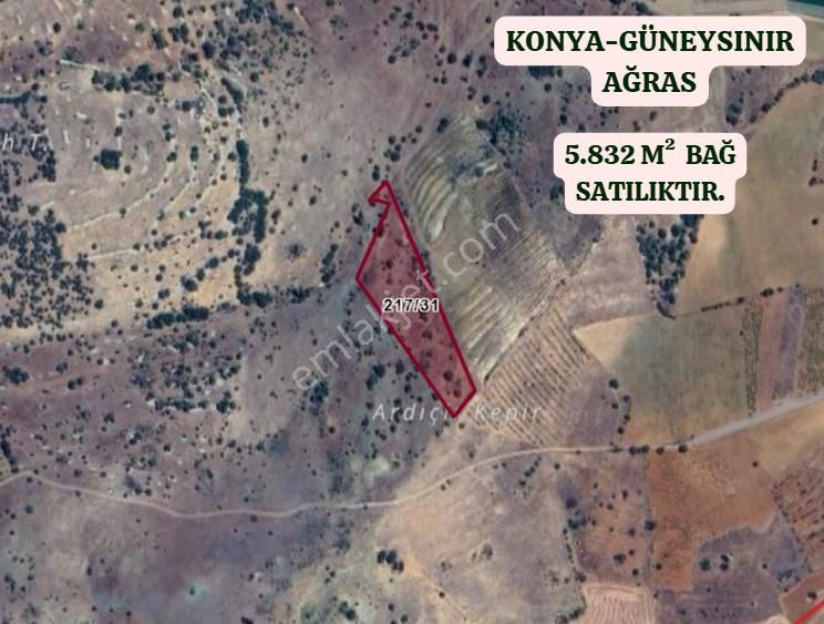 Konya Güneysınır Ağras Köyünde 5.832 M² Bağ Satılıktır - Görsel 2