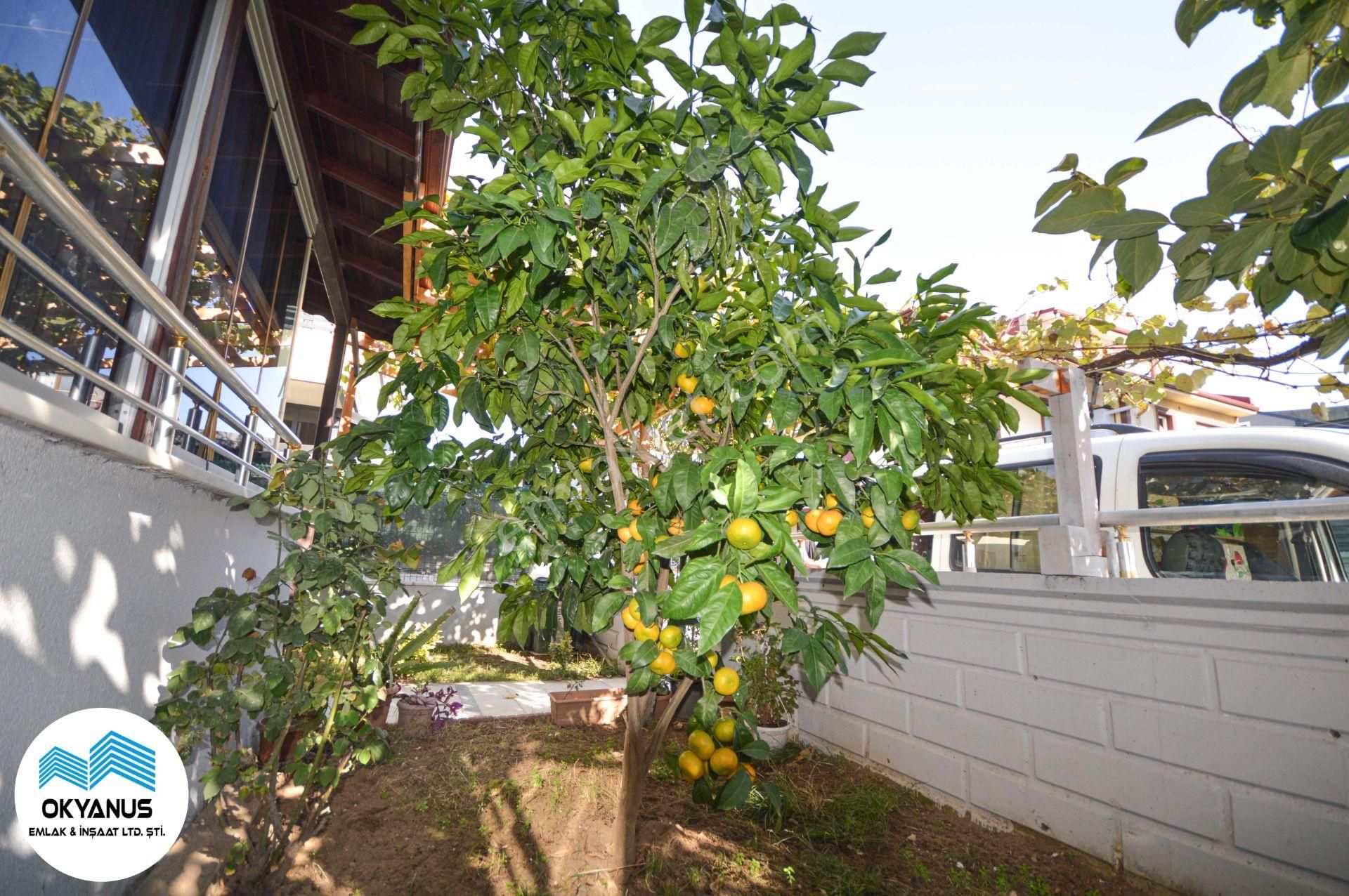 Sakarya Kocaali’de Denize Yakın Bahçeli 3+1 Geniş Villa - Görsel 5