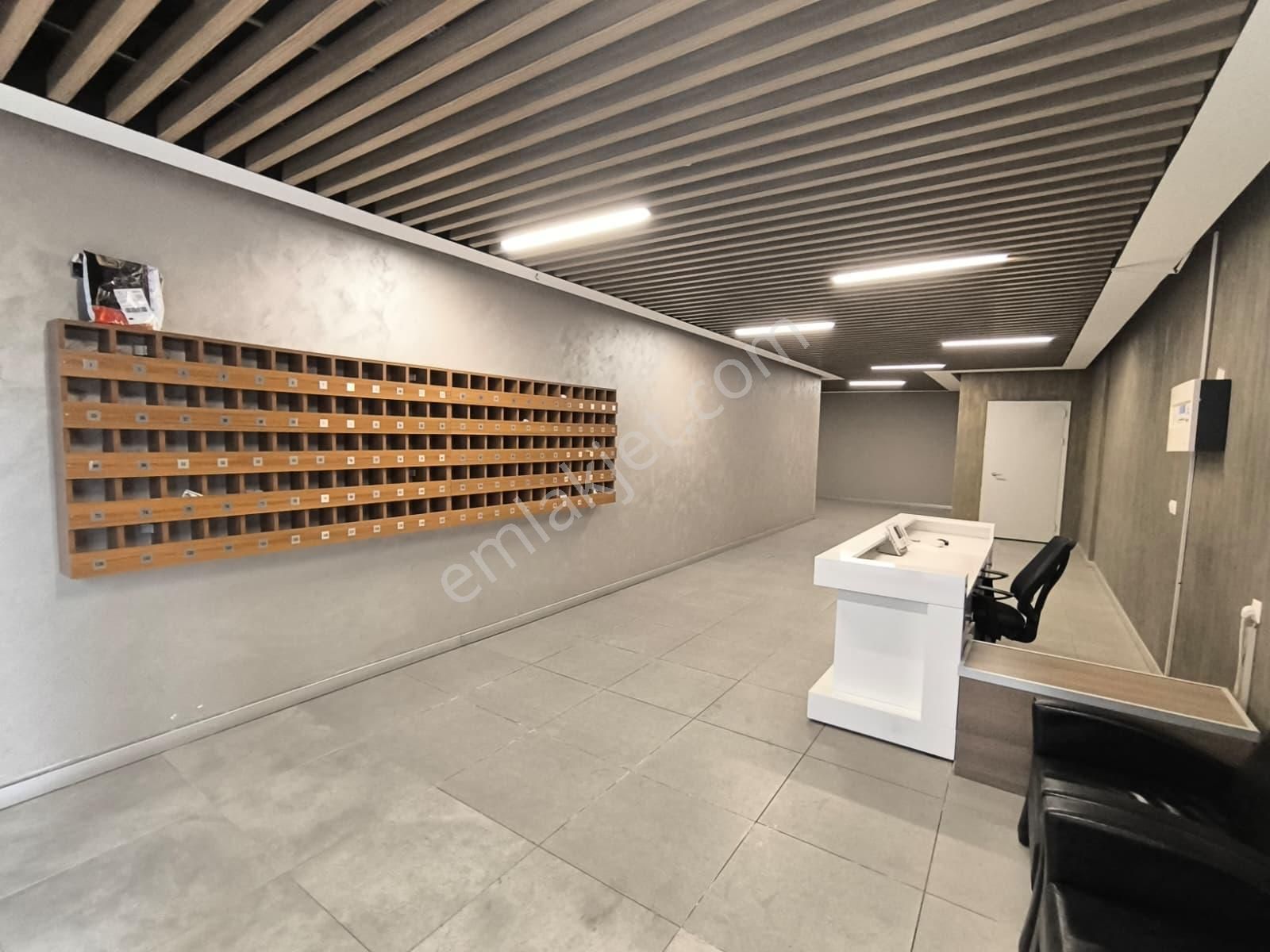 Perola Residence 1+1 Geniş Bakımlı Satılık Daire Basınekspres - Görsel 5