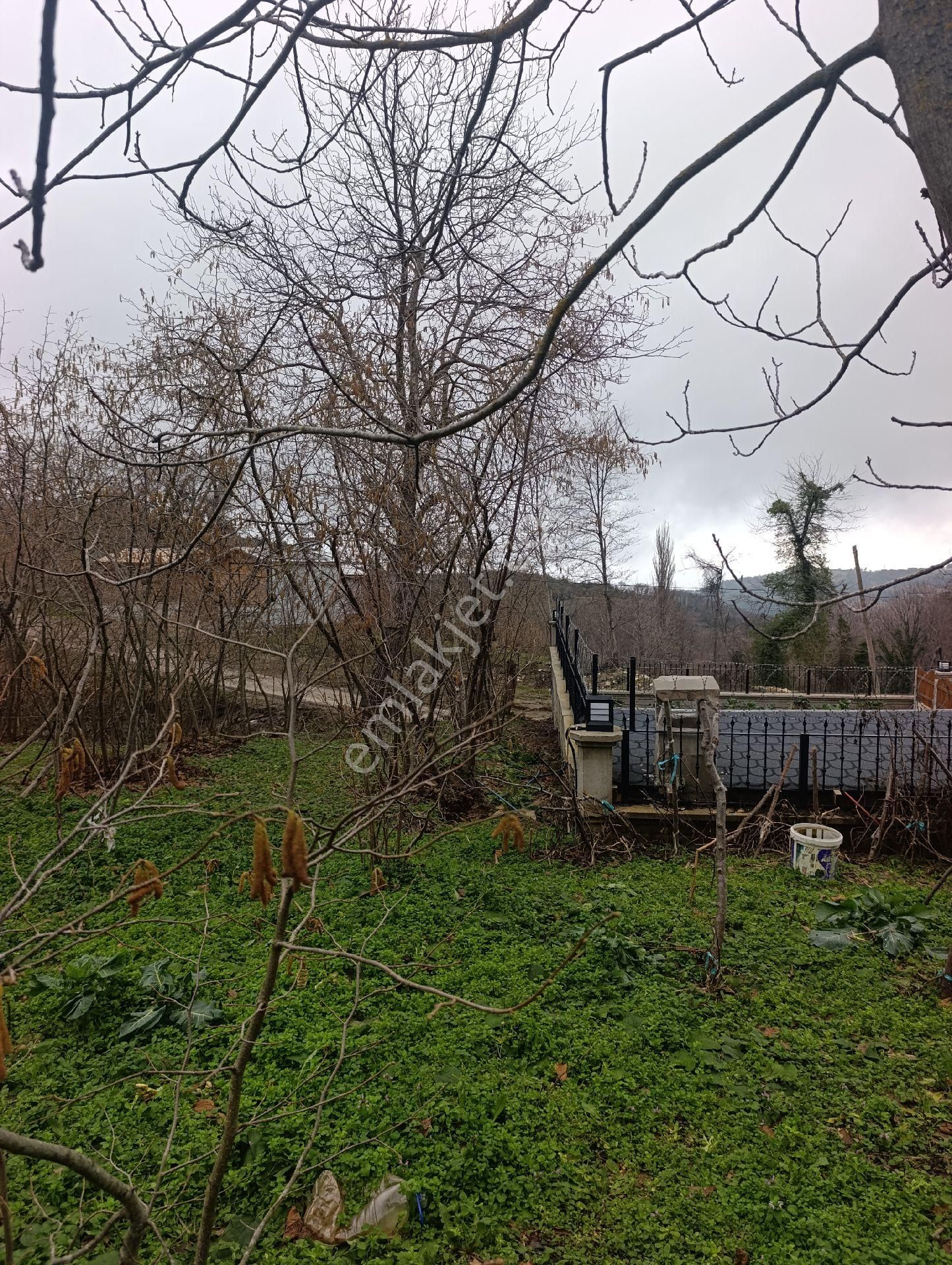 Bozkurt Zeybek Emlak Satılık 790.m2 Bahce - Görsel 8