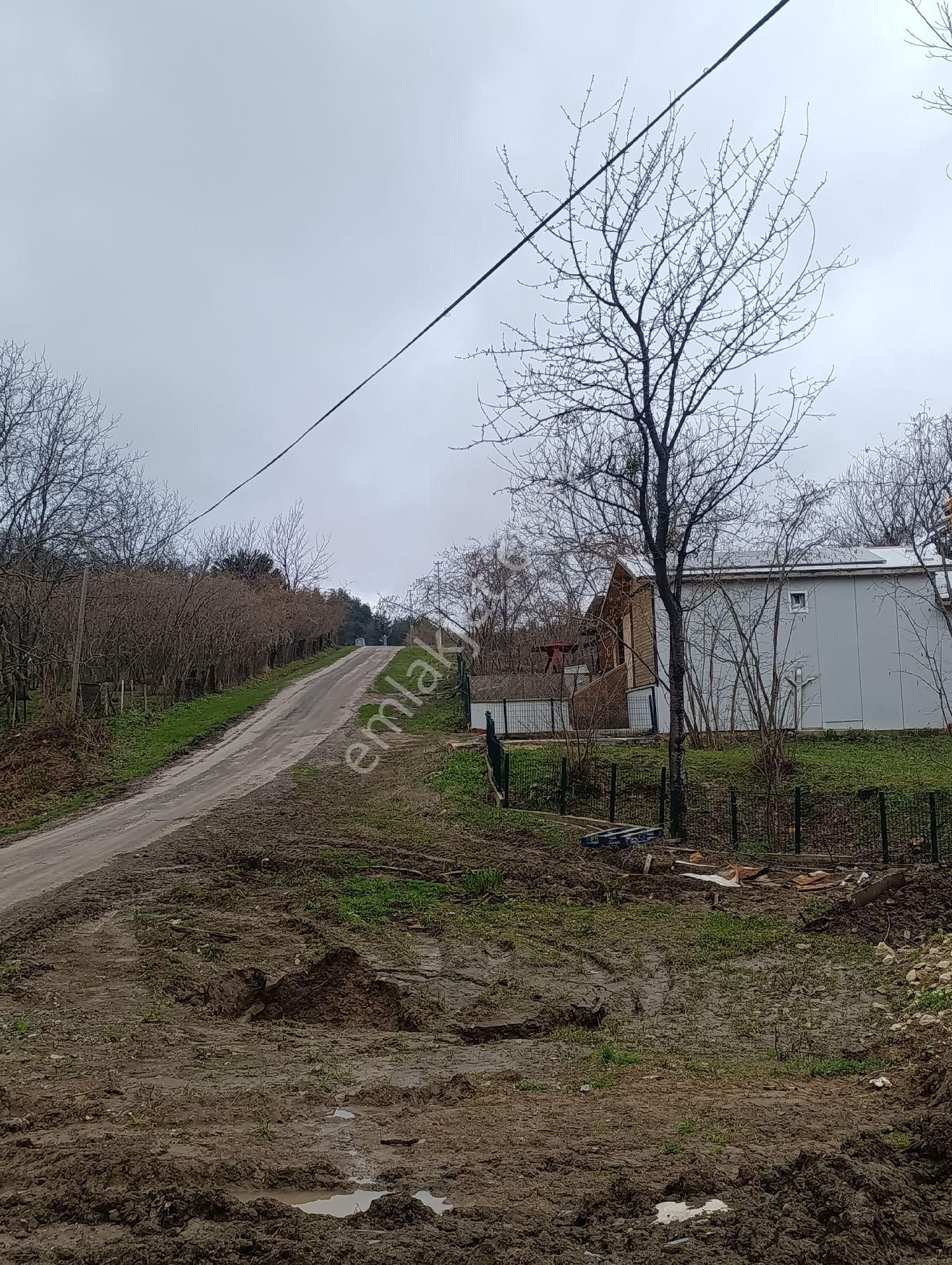 Bozkurt Zeybek Emlak Satılık 790.m2 Bahce - Görsel 6