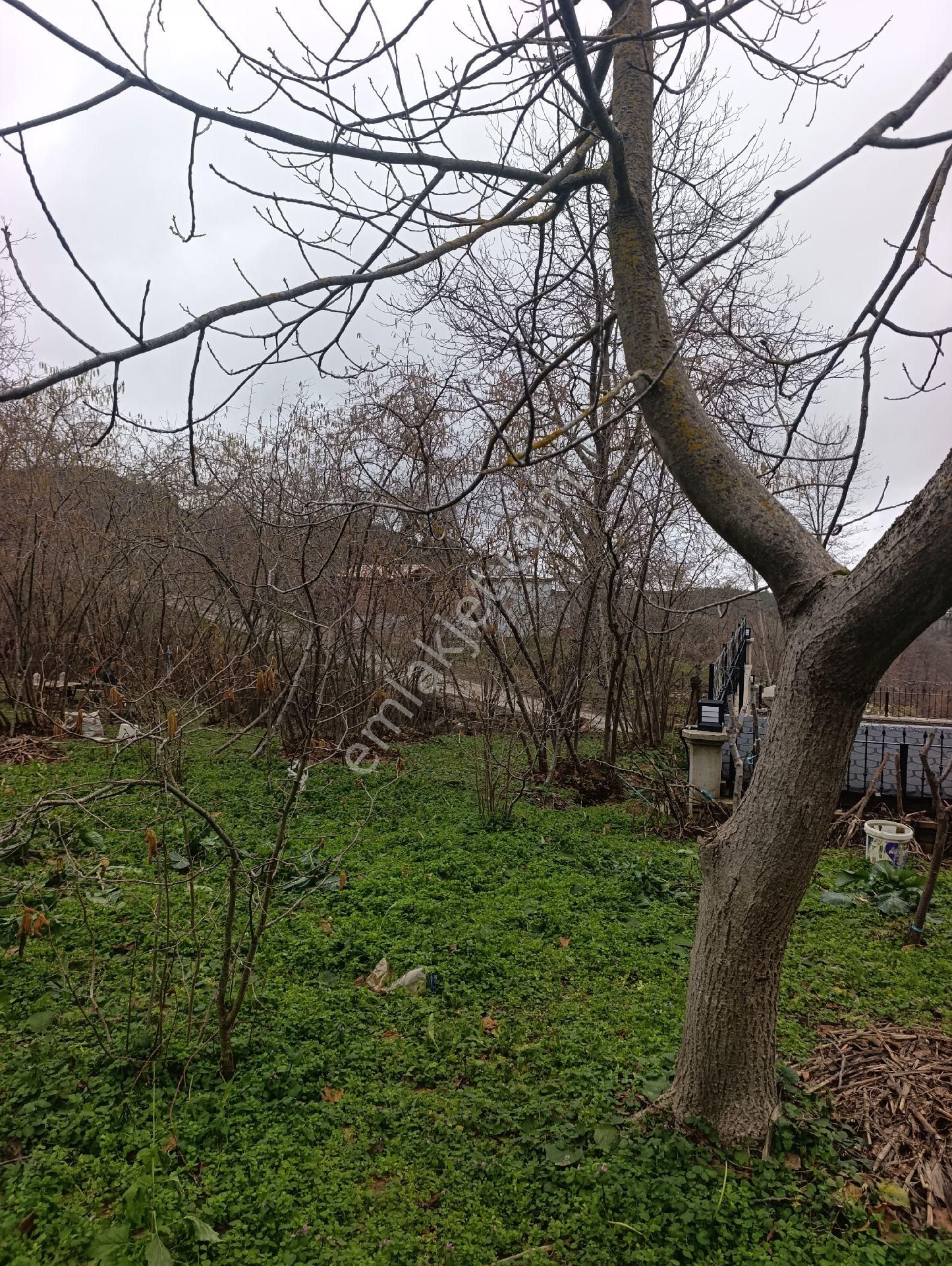 Bozkurt Zeybek Emlak Satılık 790.m2 Bahce - Görsel 9