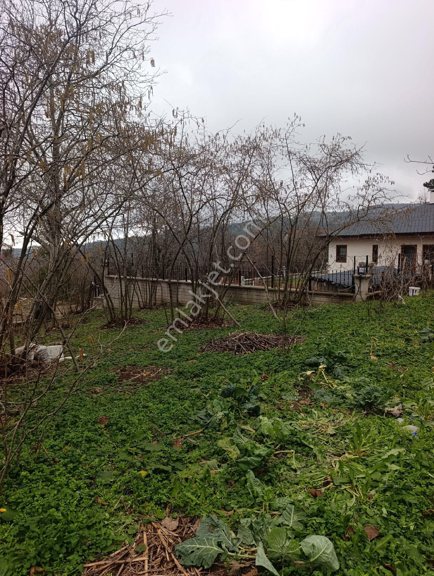 Bozkurt Zeybek Emlak Satılık 790.m2 Bahce - Görsel 18