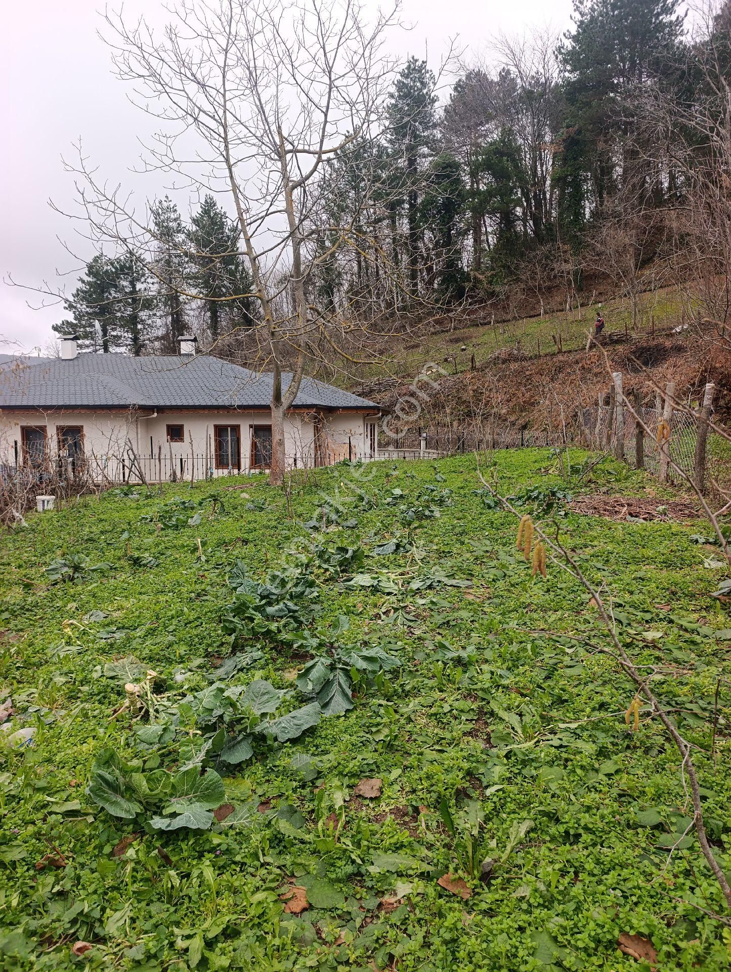 Bozkurt Zeybek Emlak Satılık 790.m2 Bahce - Görsel 17