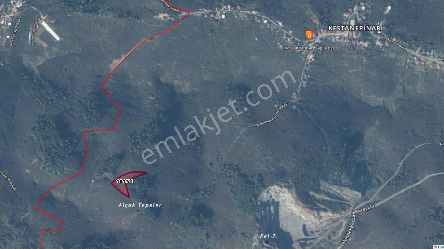 Sakarya Kocaali Kestanepınarı Köyü Satılık Fındık Bahçesi Tarla