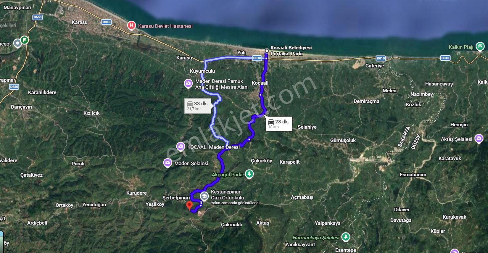 Sakarya Kocaali Kestanepınarı Köyü Satılık Fındık Bahçesi Tarla - Görsel 7