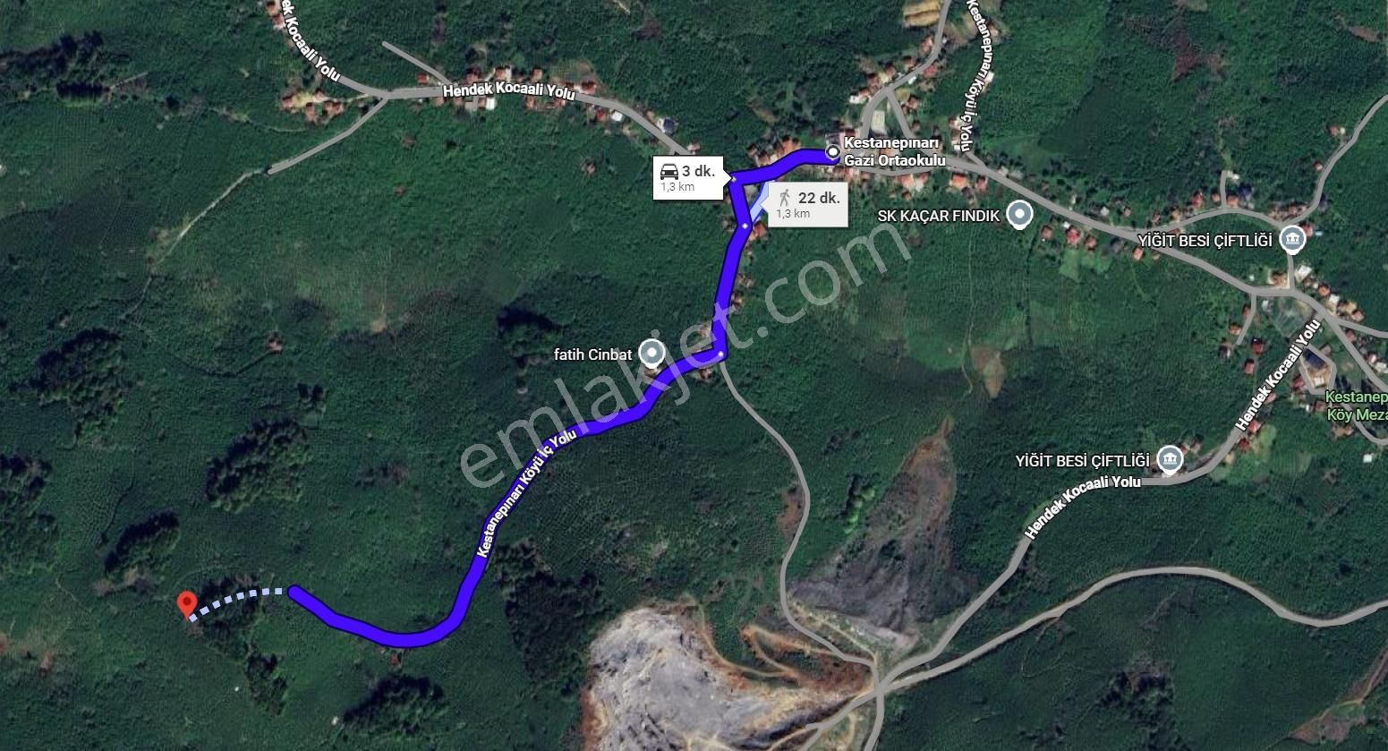 Sakarya Kocaali Kestanepınarı Köyü Satılık Fındık Bahçesi Tarla - Görsel 4