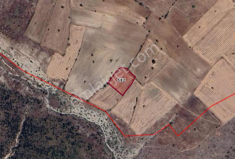 Kütahya Çavdarhisar Barağı Köyünde 3.600 M² Tarla Satılıktır