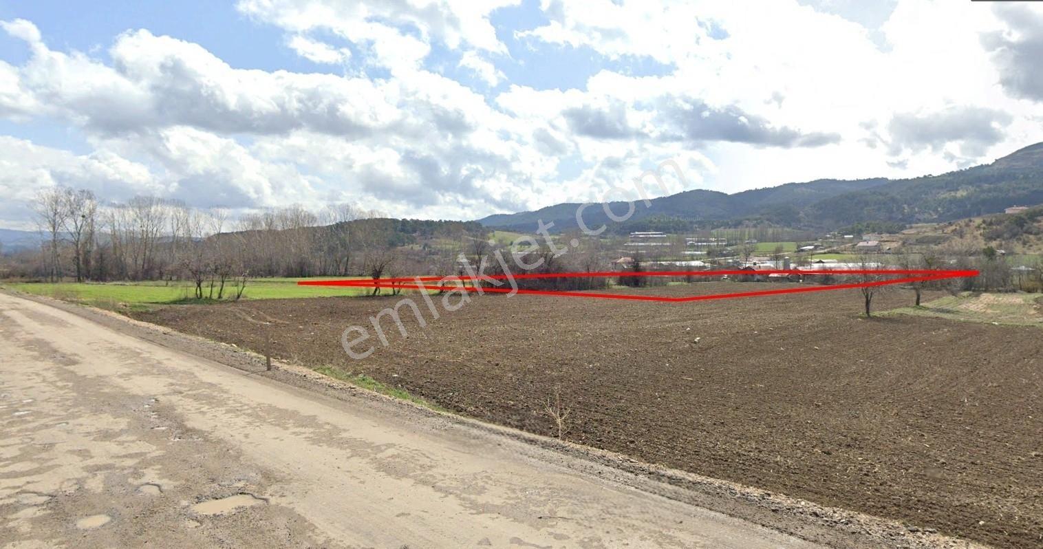 Mudurnu Hüsamettinderede Satılık Tarla Altındağ Gayrimenkulden - Görsel 6