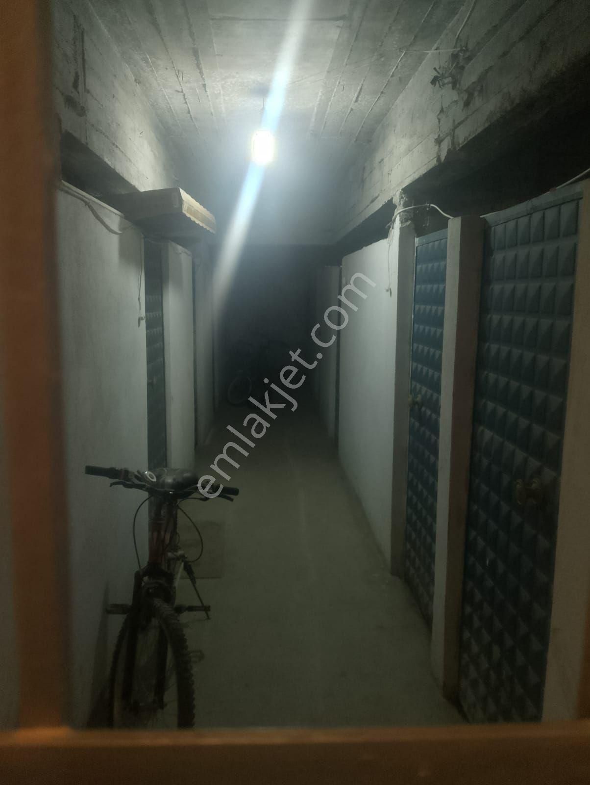 Aydin Nazi - Görsel 24