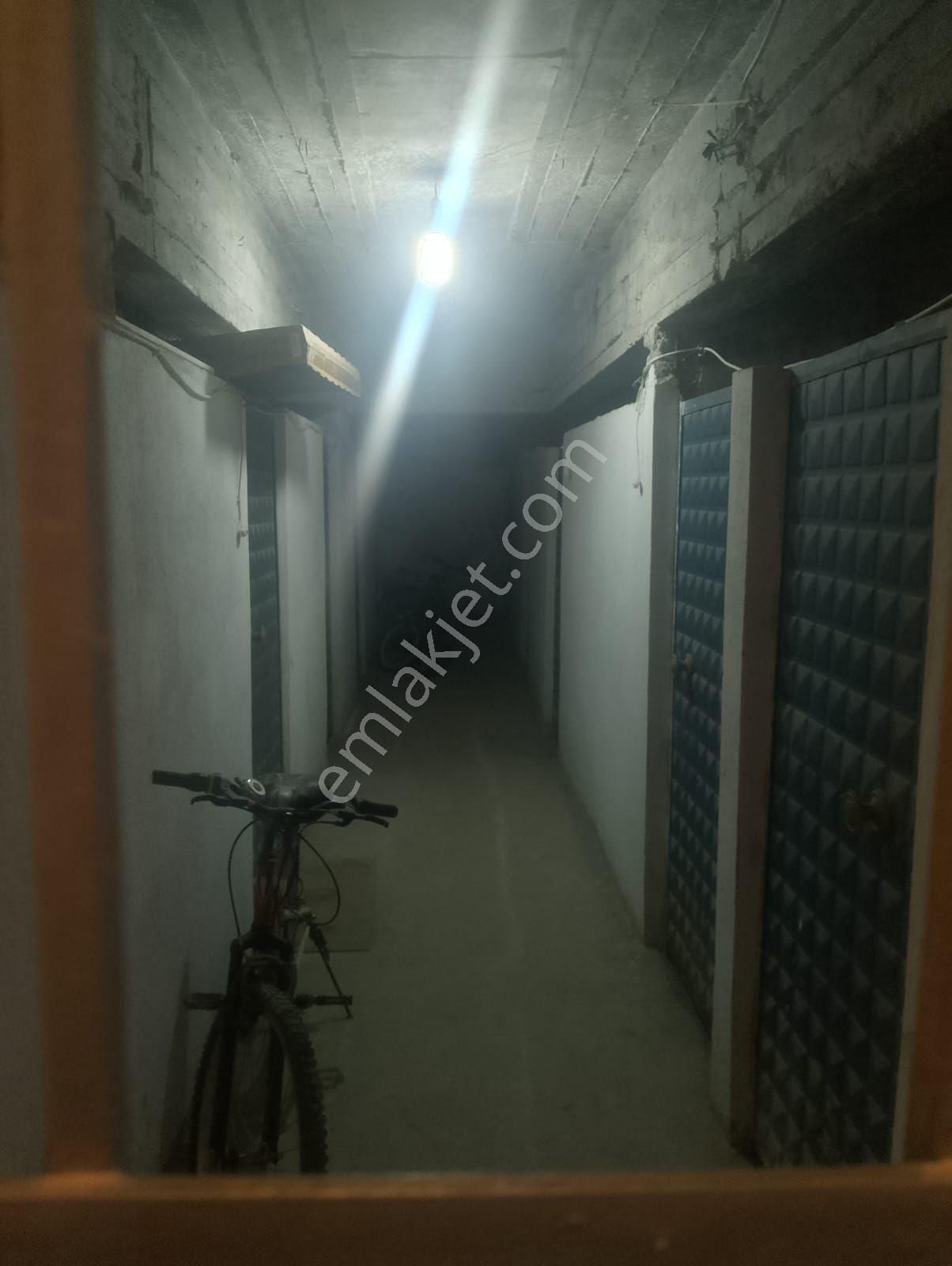 Aydin Nazi - Görsel 23