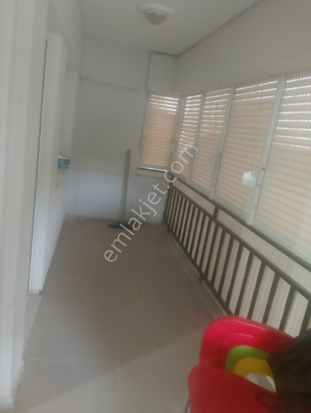 Aydin Nazi - Görsel 2