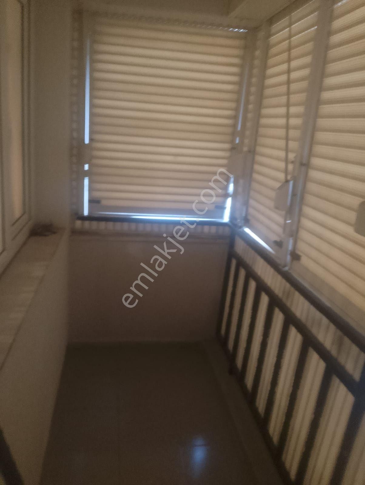 Aydin Nazi - Görsel 11