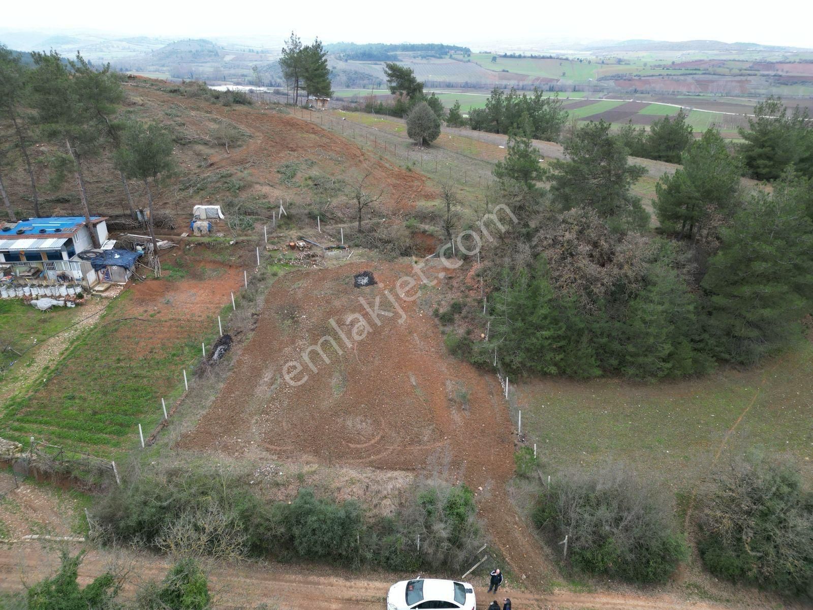 Sahibinden Satılık Arazi
