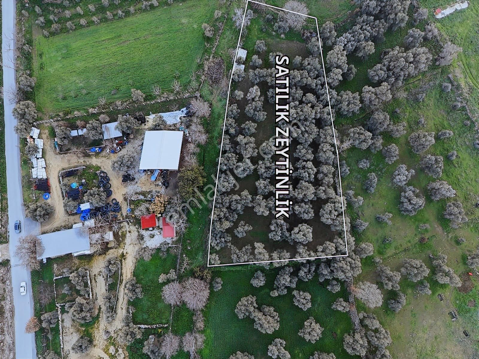 Kaçmazer'den İmar Sınırına Bitişik Satılık Arazi - Görsel 5