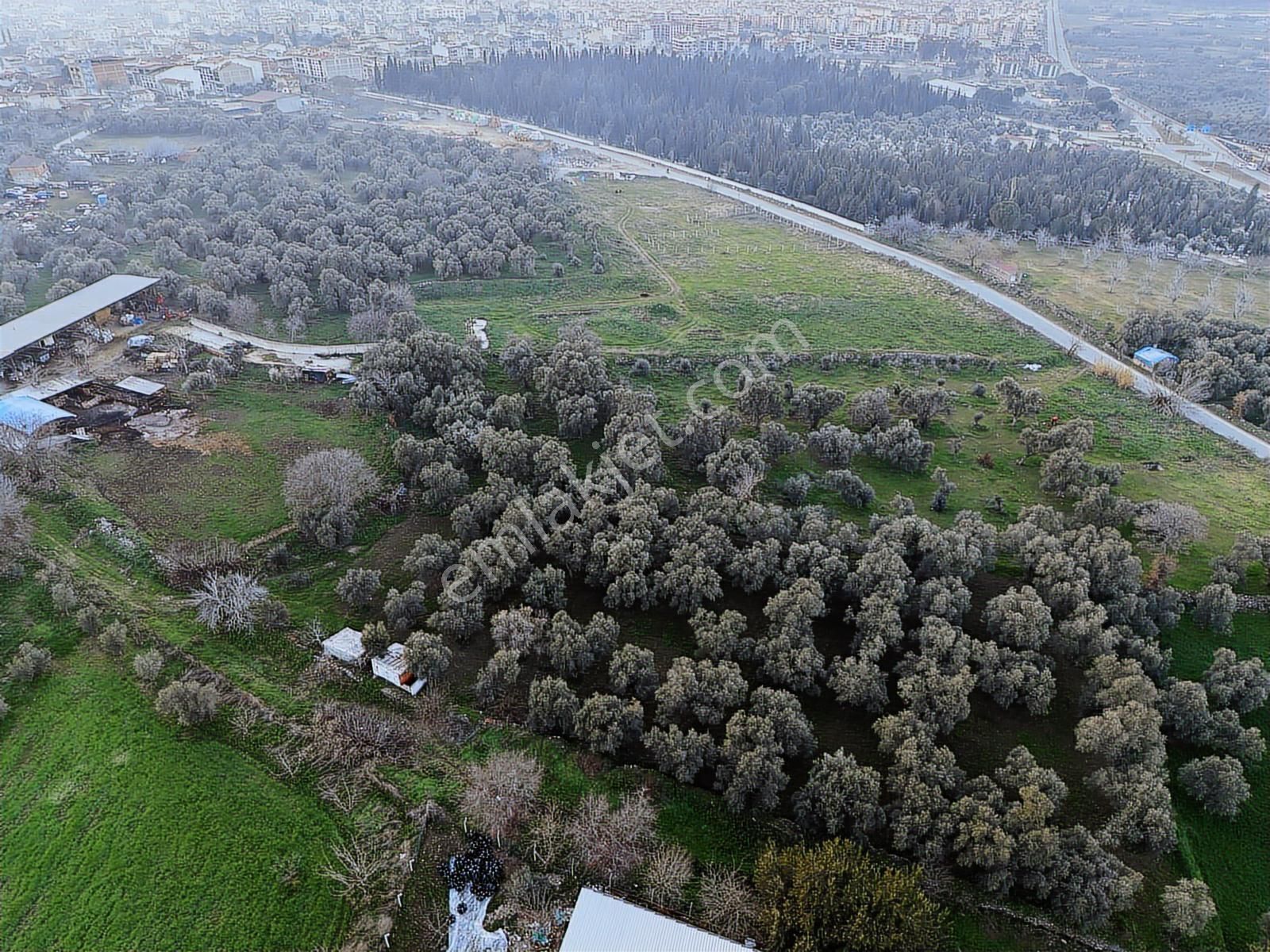 Kaçmazer'den İmar Sınırına Bitişik Satılık Arazi - Görsel 4