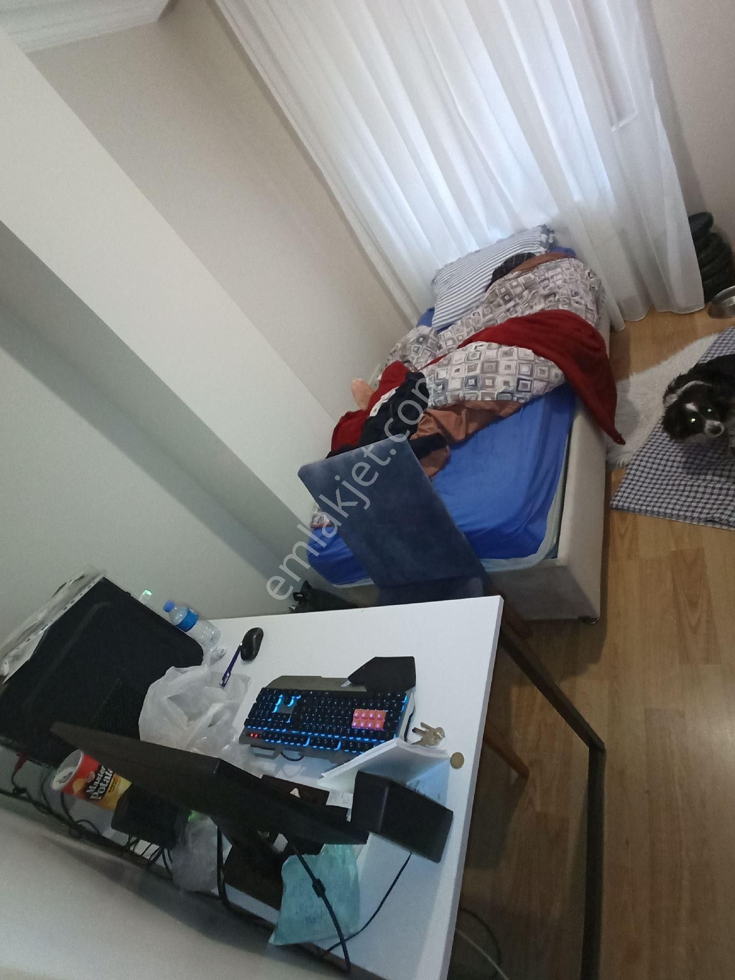 Küçükyalı Minibüs Marmaray Yakin 2+1 Kombili Asansörlü - Görsel 20