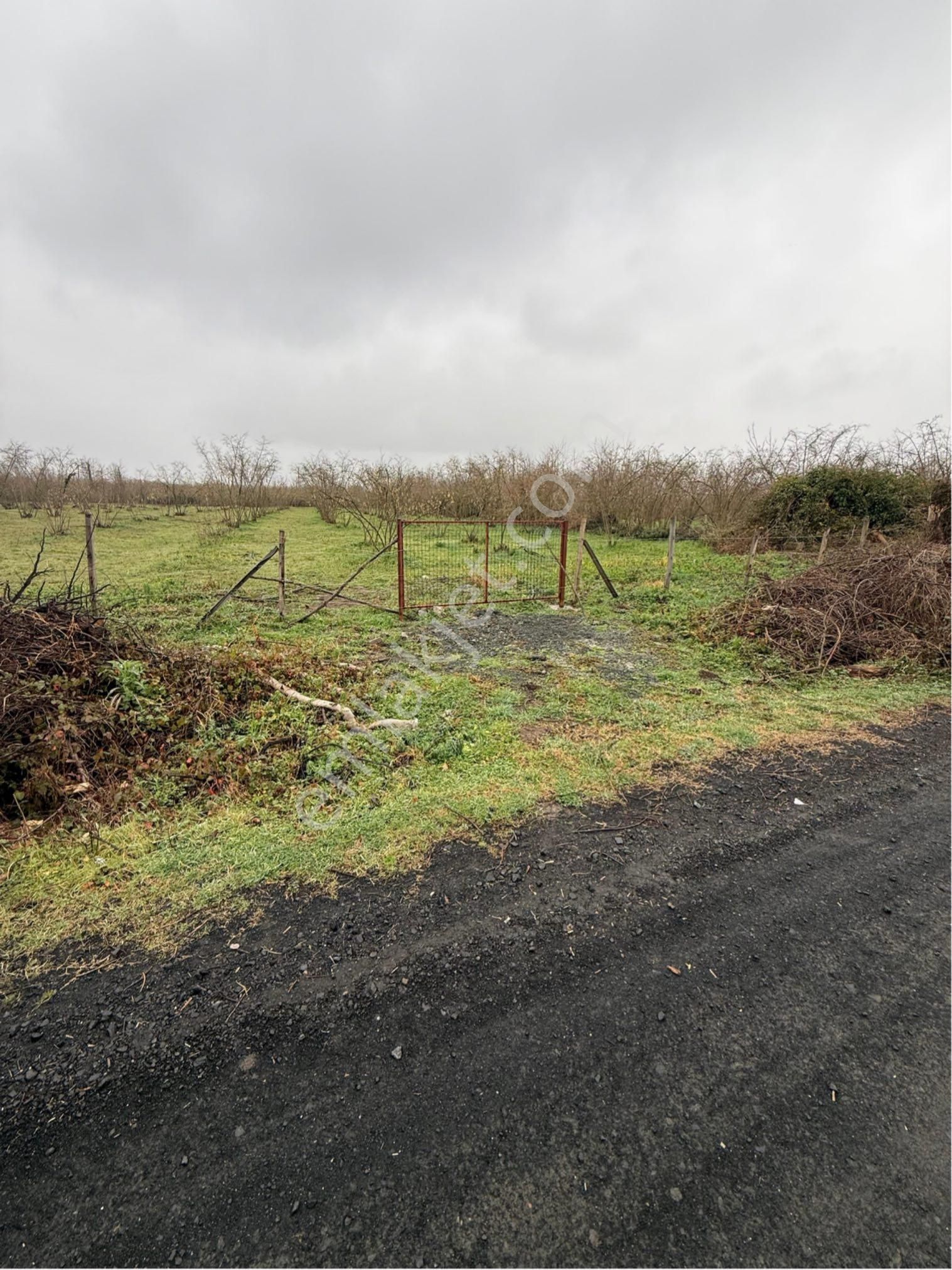 Sevgi Emlak’tan Satılık Fındıklı Bahçesi