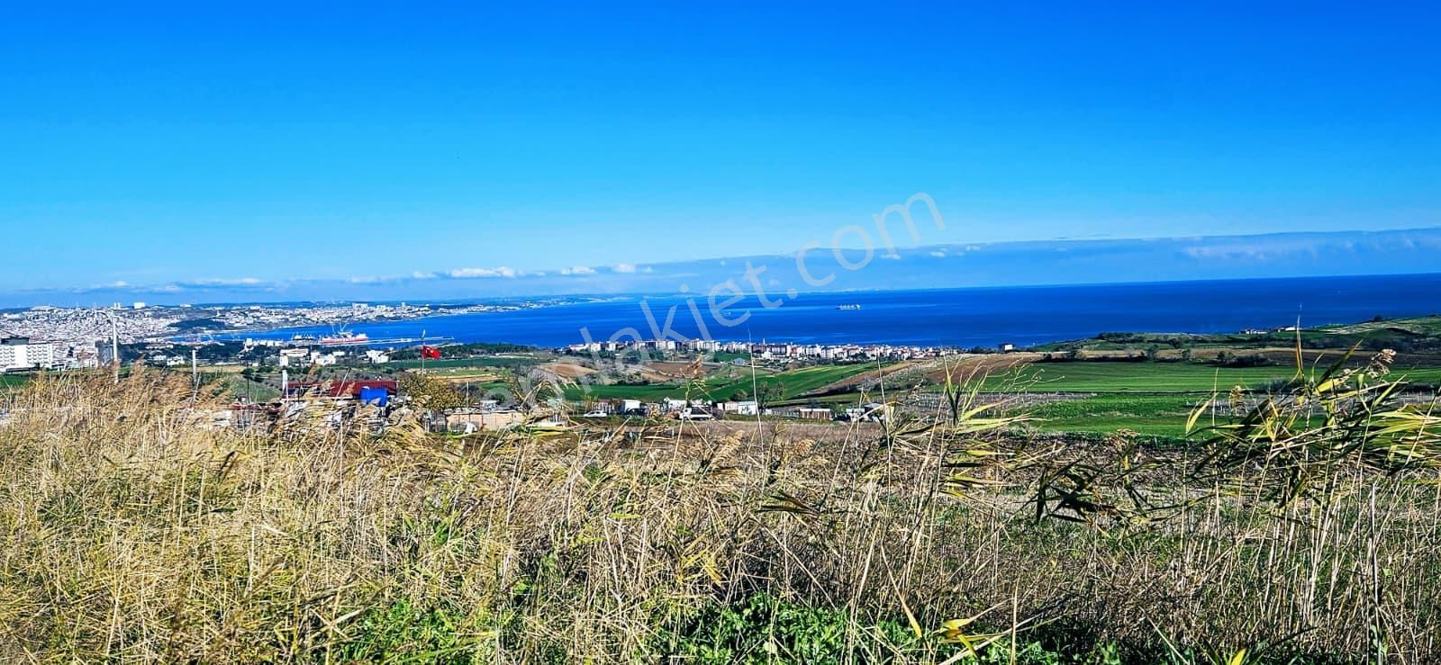 Muhteşe Deniz Doğa Ve Şehir Manzaralı 4 Adet Lüxs Villa Projesine Uygun Fırsat Kelepir Arsa - Görsel 5
