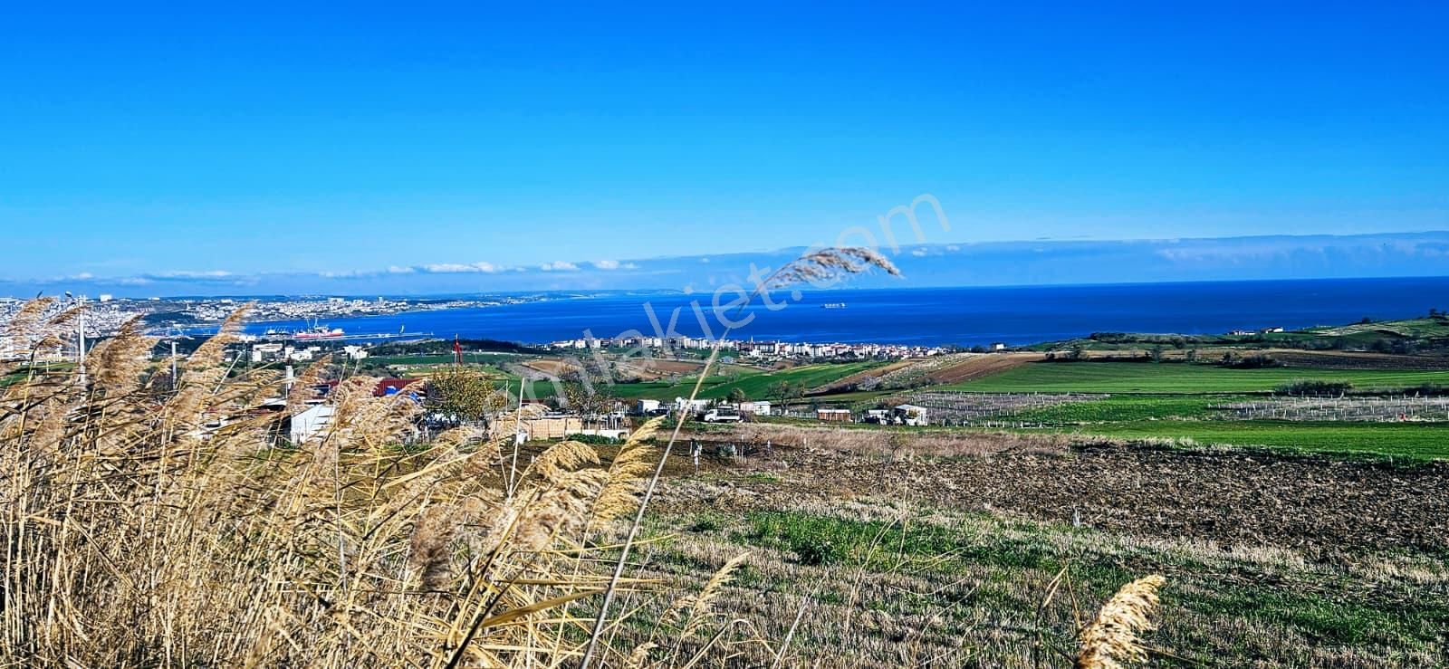 Muhteşe Deniz Doğa Ve Şehir Manzaralı 4 Adet Lüxs Villa Projesine Uygun Fırsat Kelepir Arsa