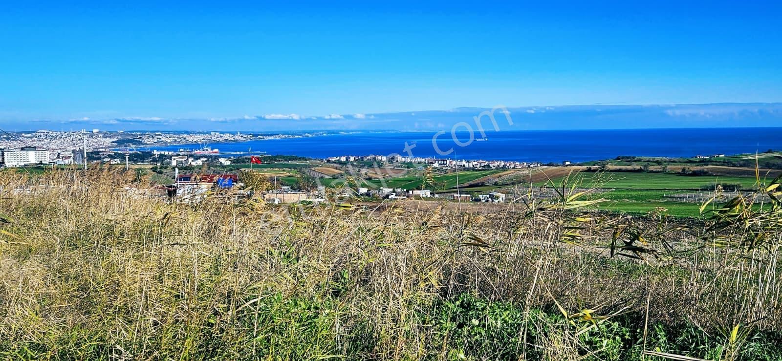 Muhteşe Deniz Doğa Ve Şehir Manzaralı 4 Adet Lüxs Villa Projesine Uygun Fırsat Kelepir Arsa - Görsel 8