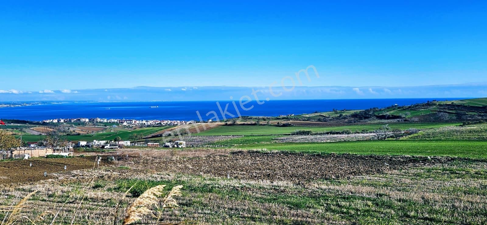 Muhteşe Deniz Doğa Ve Şehir Manzaralı 4 Adet Lüxs Villa Projesine Uygun Fırsat Kelepir Arsa - Görsel 4