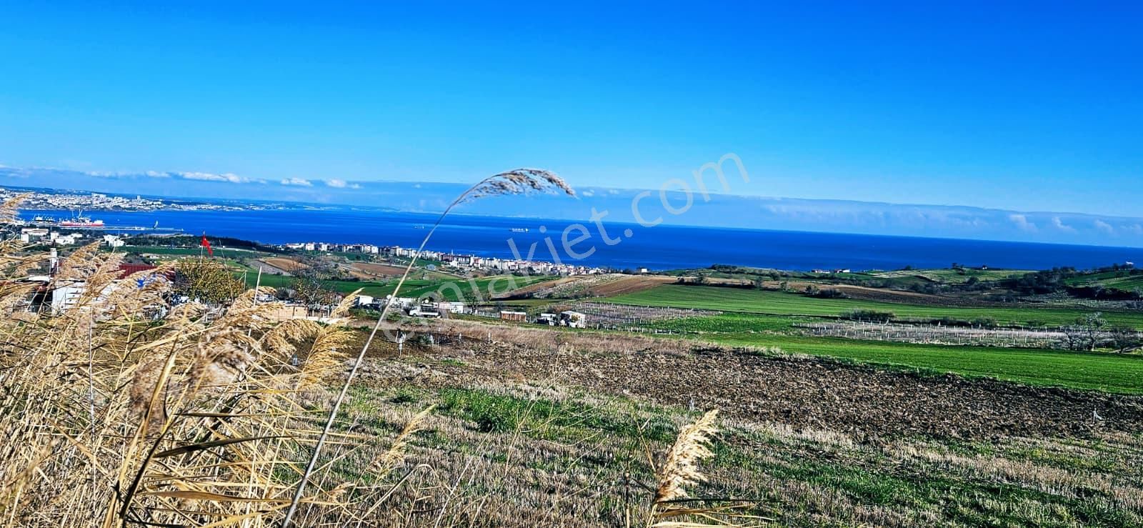 Muhteşe Deniz Doğa Ve Şehir Manzaralı 4 Adet Lüxs Villa Projesine Uygun Fırsat Kelepir Arsa - Görsel 11