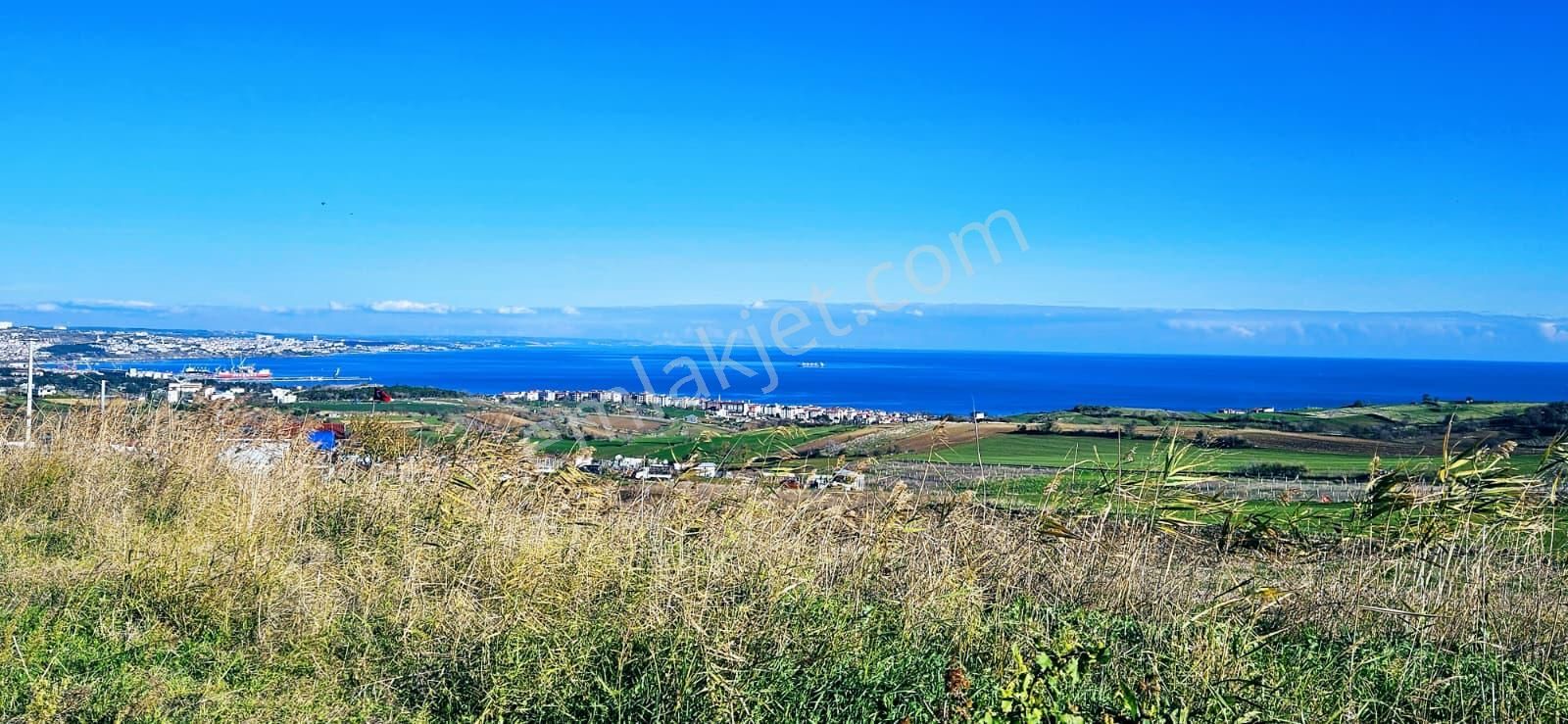 Muhteşe Deniz Doğa Ve Şehir Manzaralı 4 Adet Lüxs Villa Projesine Uygun Fırsat Kelepir Arsa - Görsel 10